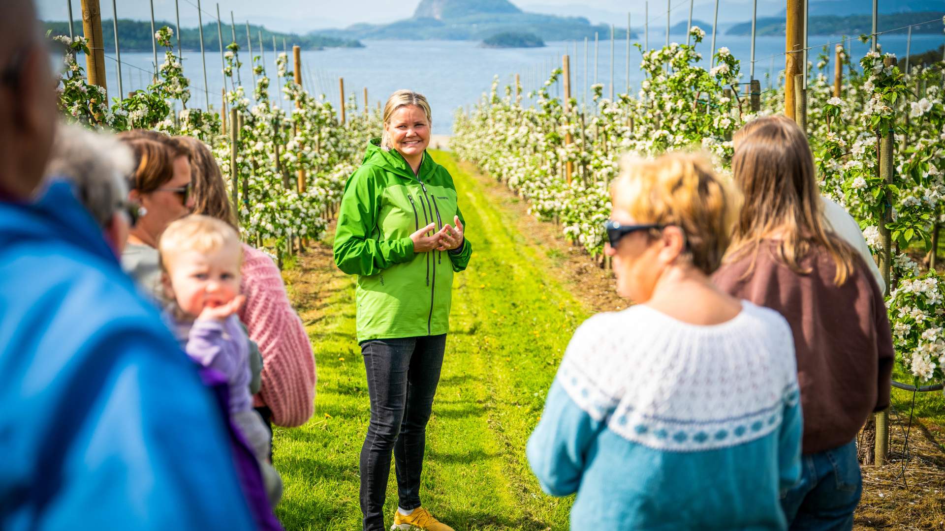 Epleriet på Helgøy i Ryfylke