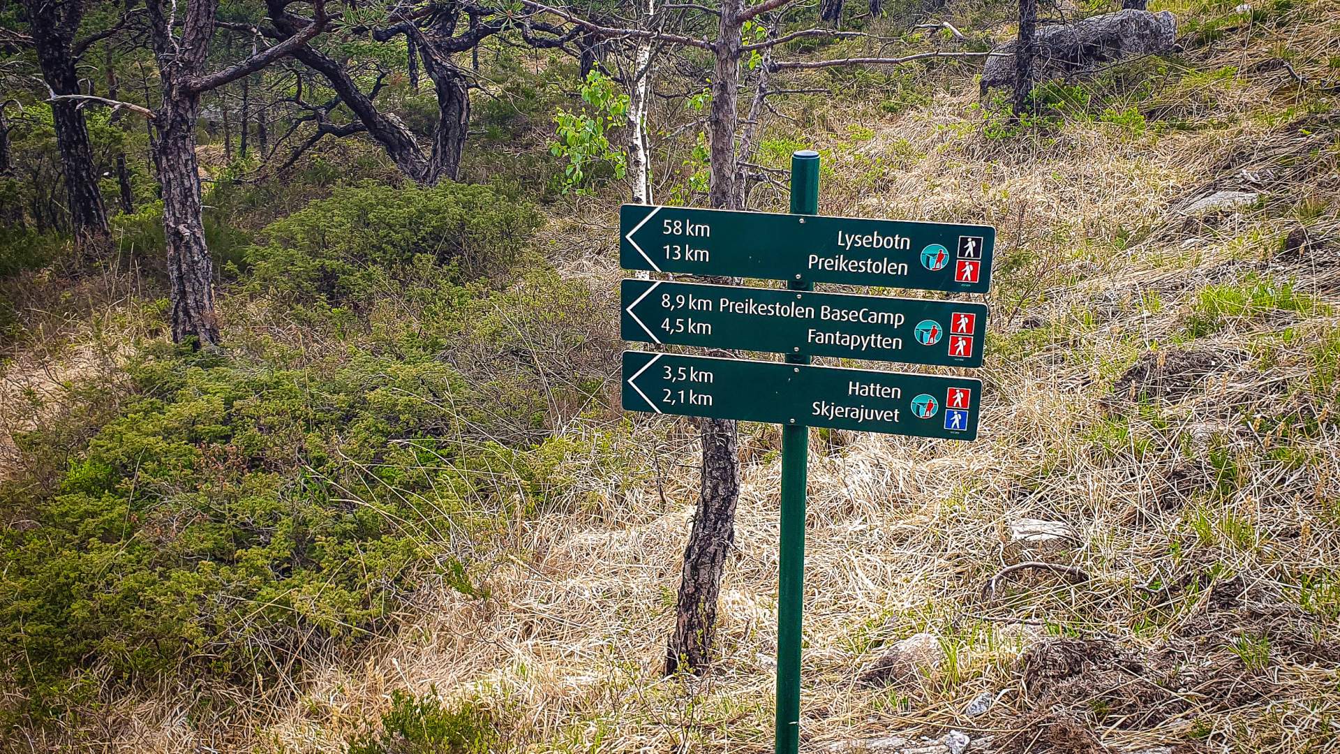 Lysefjord Panorama Trail