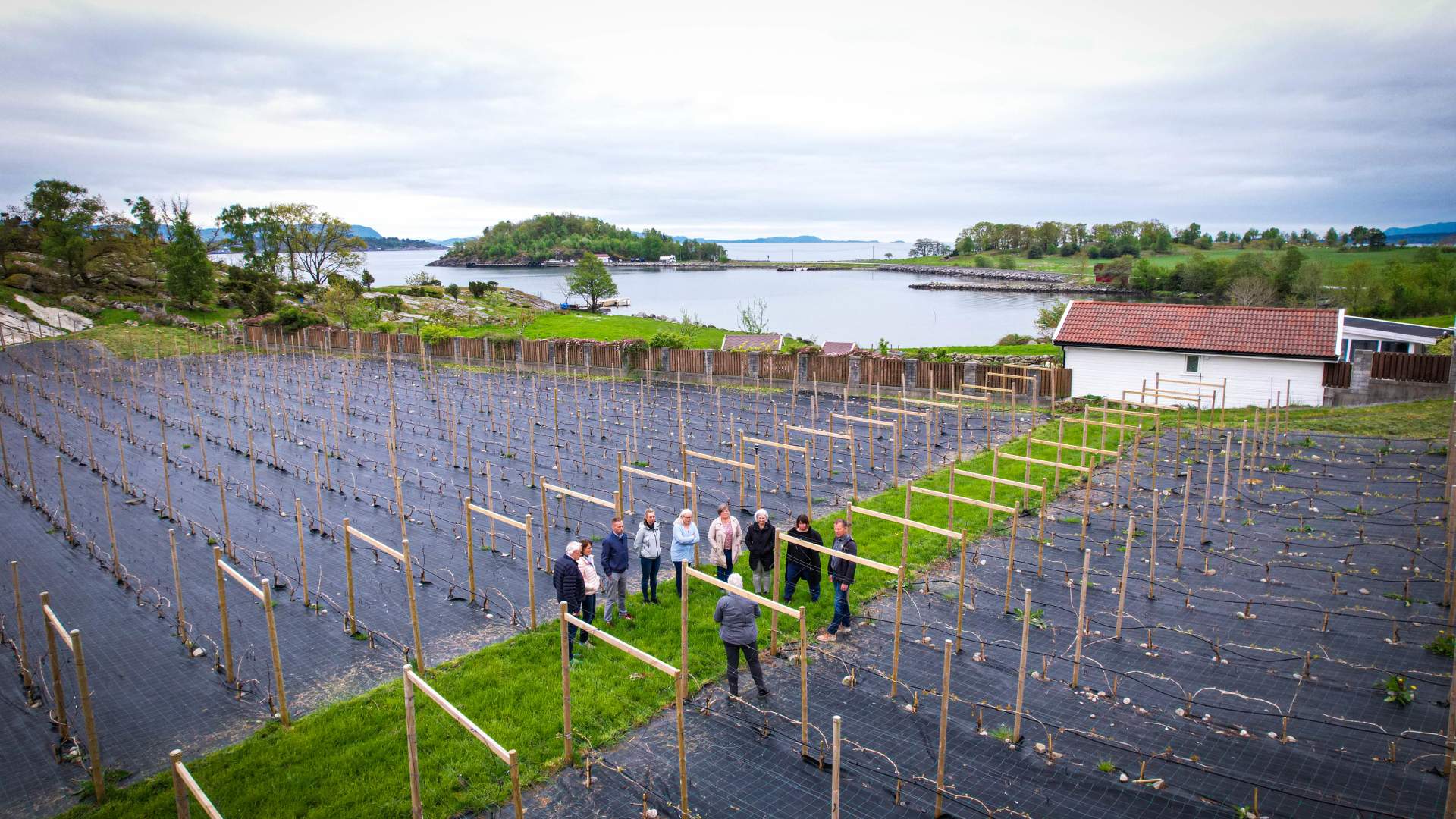 Weinverkostung und Hofladen im Hebnes vingard in Ryfylke