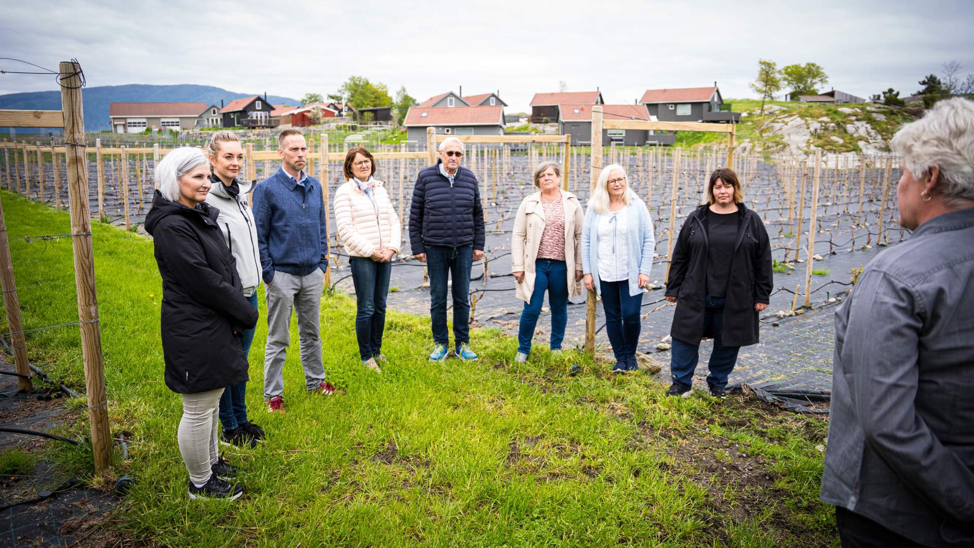 Weinverkostung und Hofladen im Hebnes vingard in Ryfylke