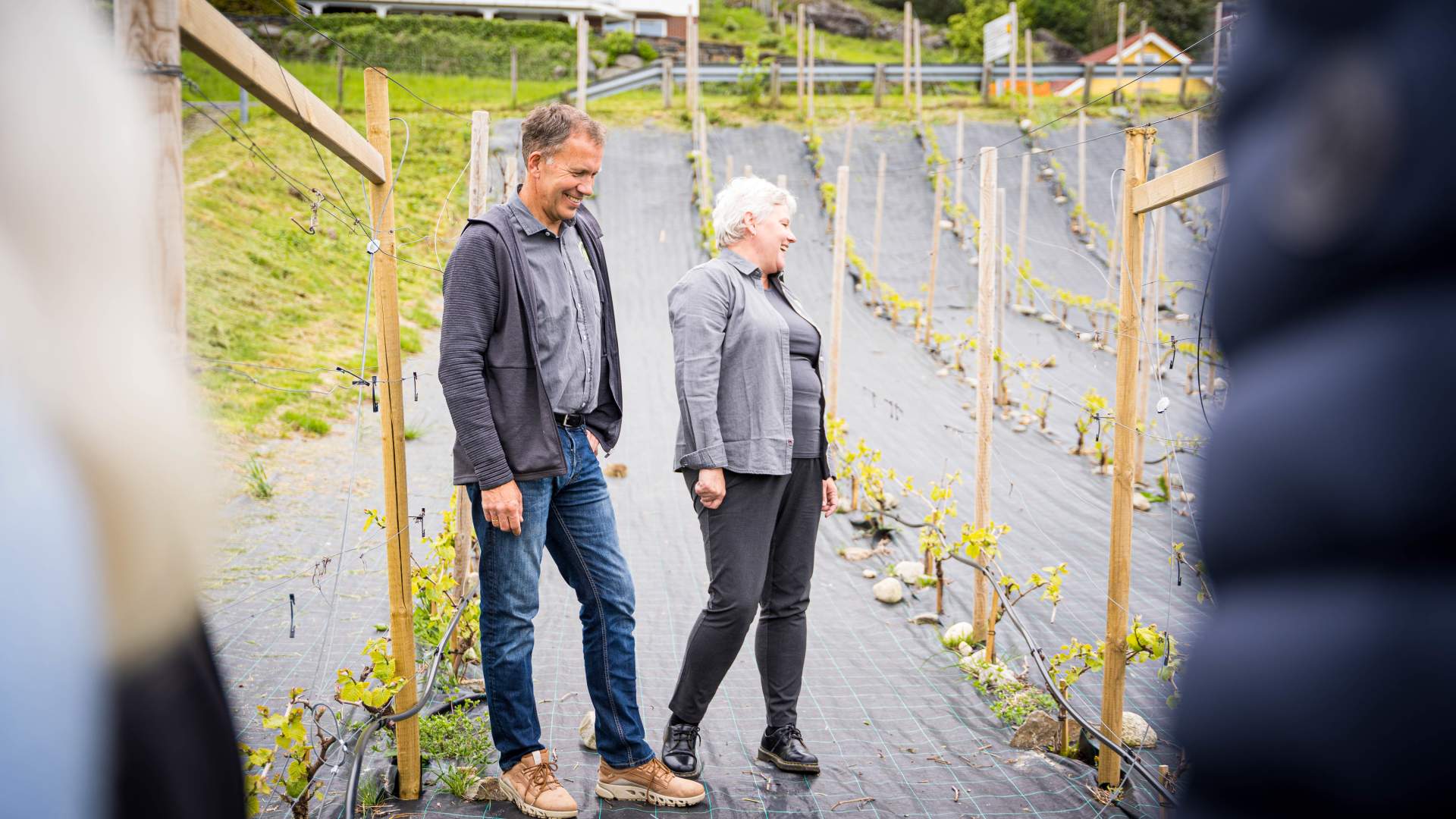 Weinverkostung und Hofladen im Hebnes vingard in Ryfylke