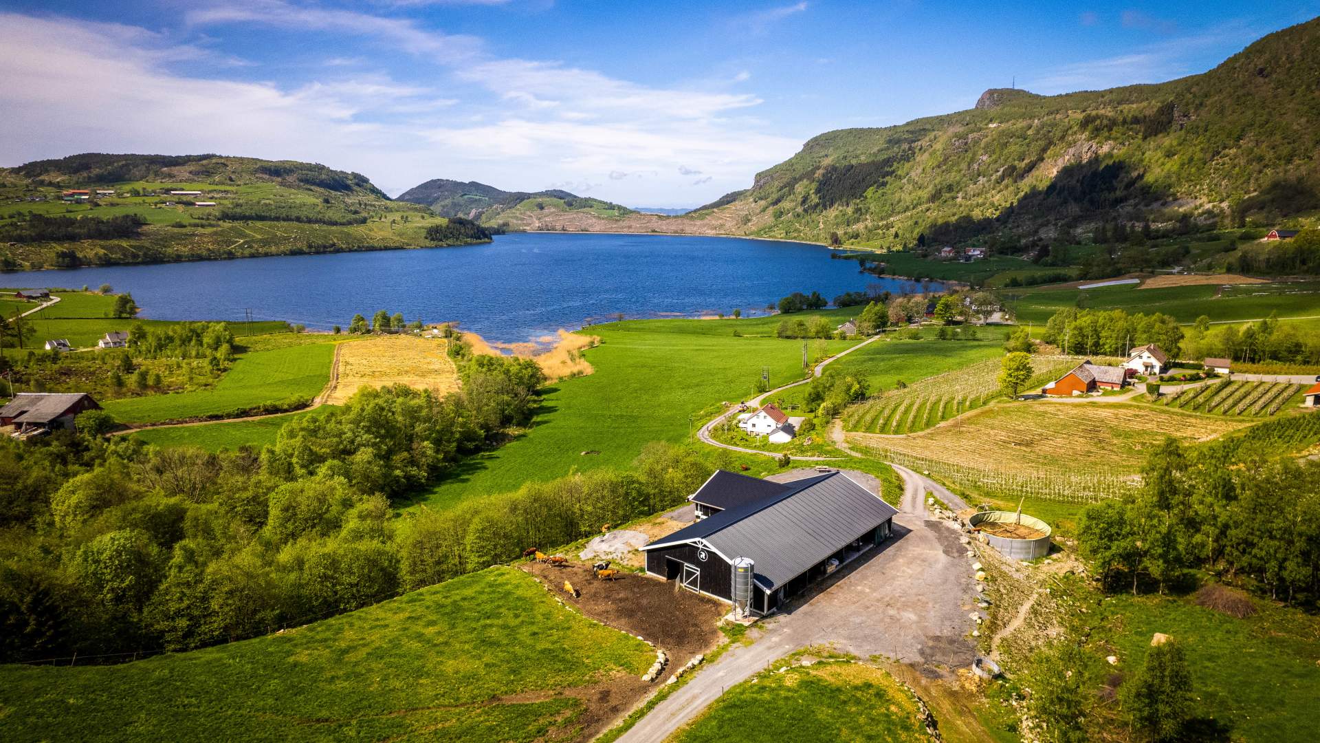 Lokalprodusert ost fra Ryfylke Gardsysteri