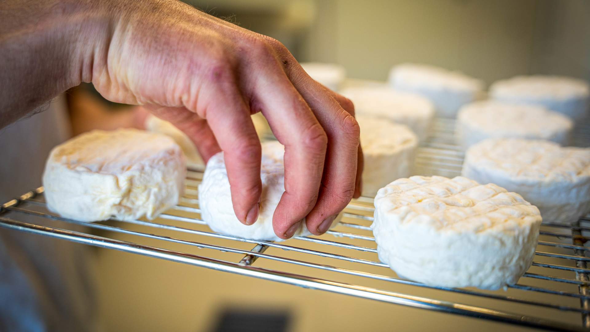 Lokalprodusert ost fra Ryfylke Gardsysteri