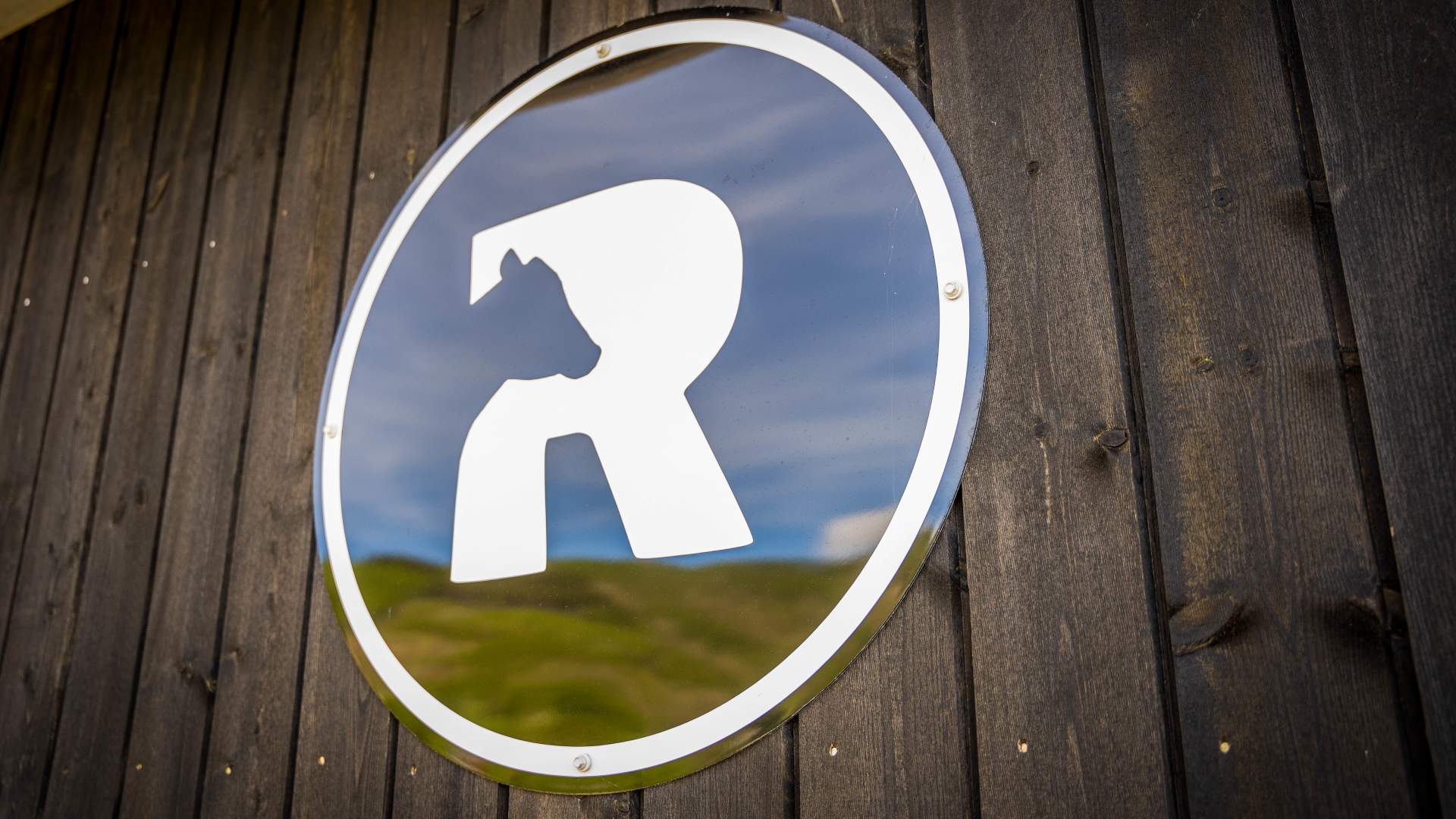 Lokalprodusert ost fra Ryfylke Gardsysteri