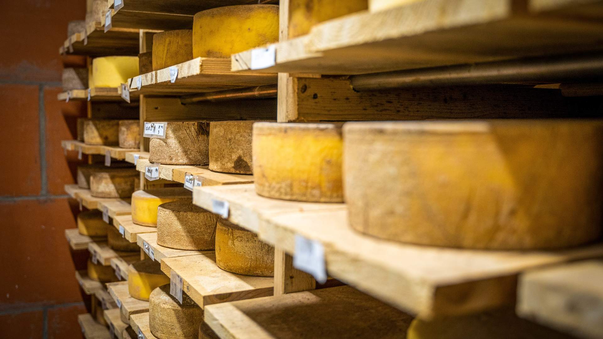 Lokalprodusert ost fra Ryfylke Gardsysteri