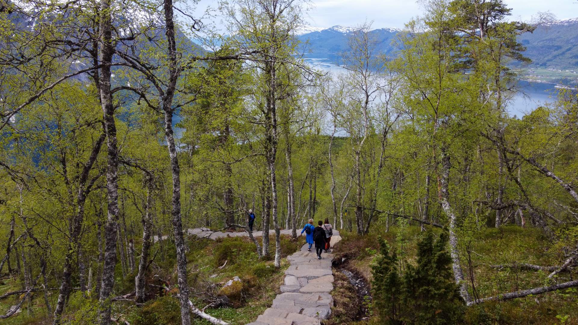 Fjelltur til Prestaksla