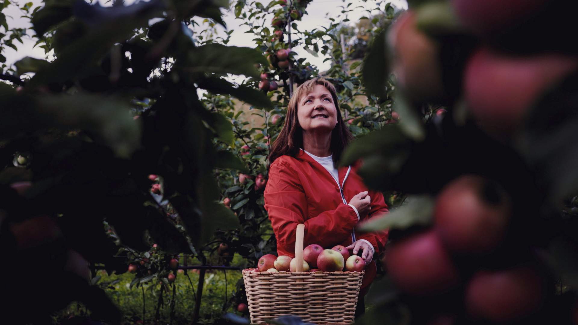 Bauernladen und Cider-Verkostung bei OmCider in Hjelmeland