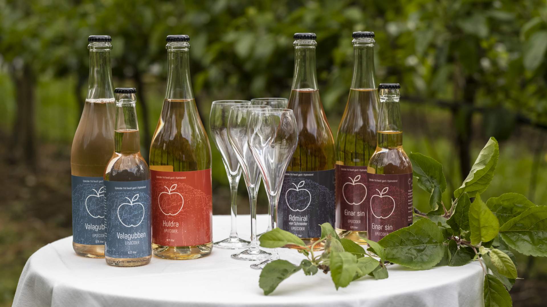 Bauernladen und Cider-Verkostung bei OmCider in Hjelmeland