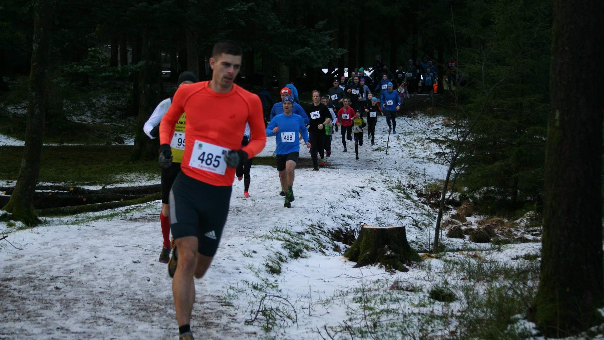 Deltagere løper gjennom et snølagt Rogaland Arboret under Arborettrimmen i Sandnes