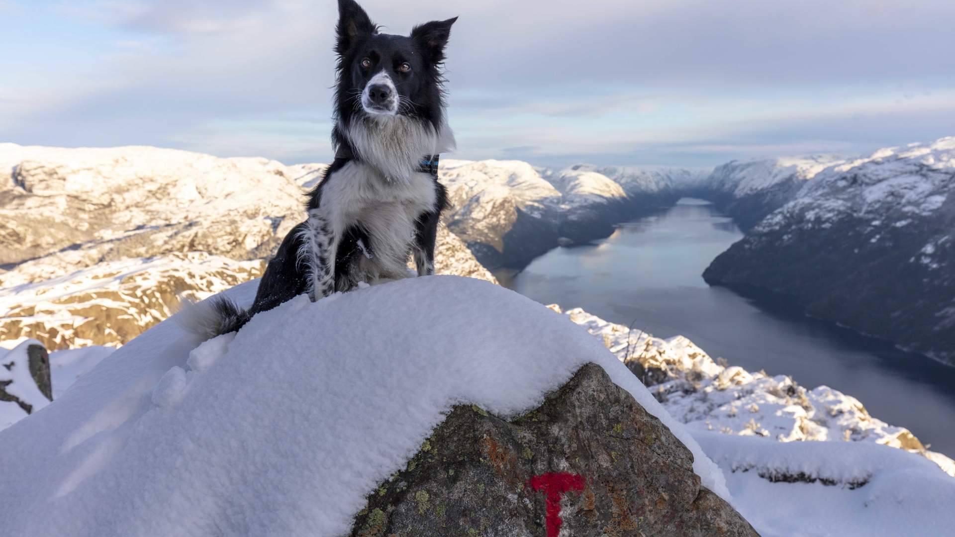 Winterwanderung zum Preikestolen – Ein Geführtes Erlebnis mit Explore Lysefjorden