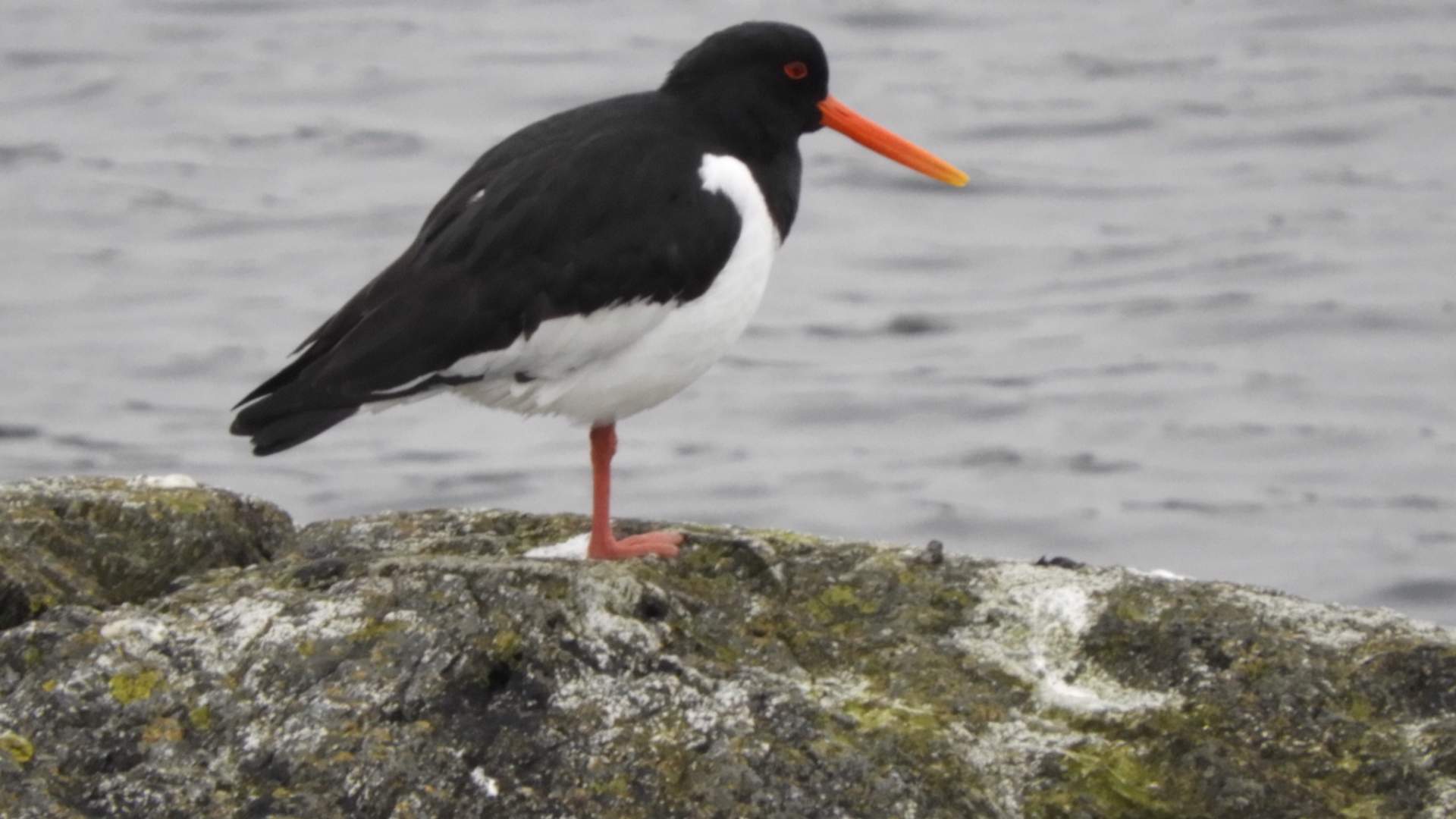 Røvær Kulturhotell