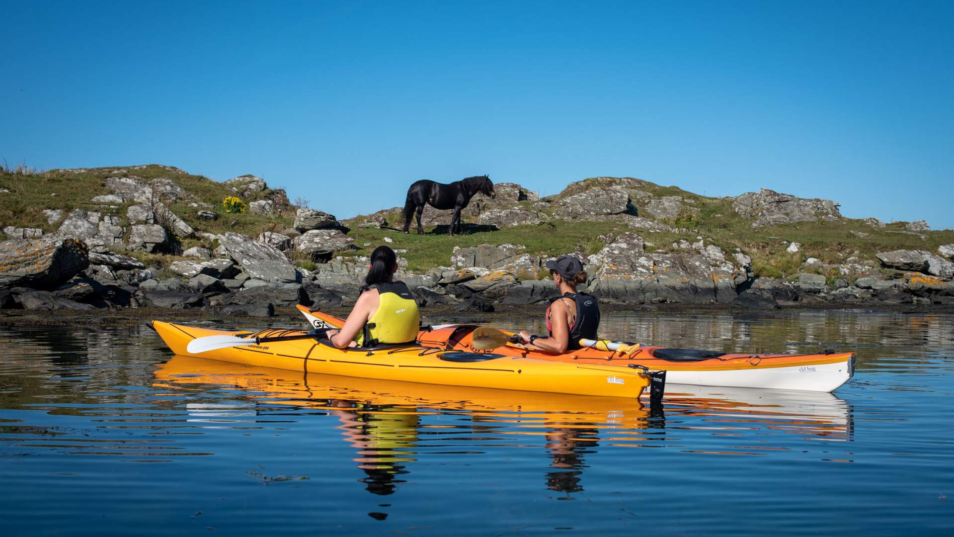 På Kvitsøy finnes det mange kjekke aktiviteter