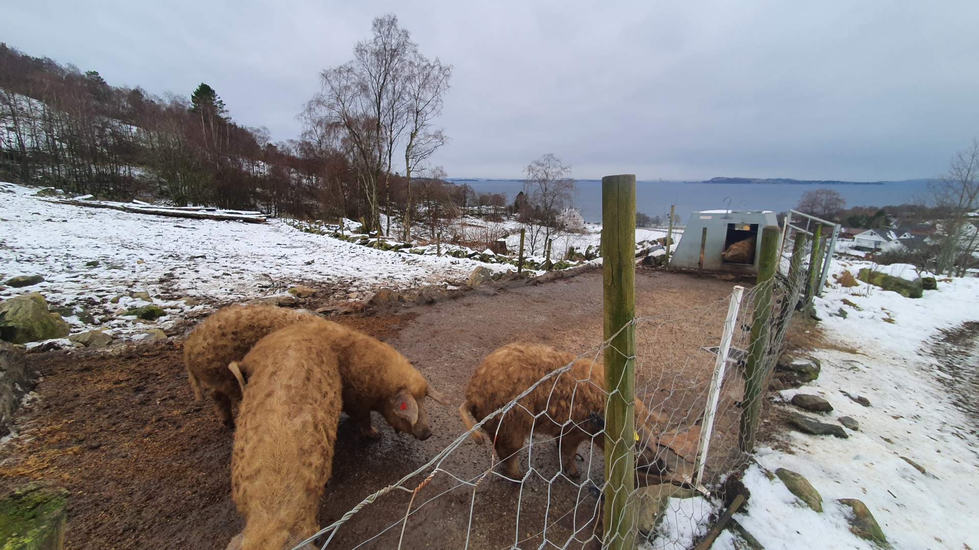 Gårdsutsalg hos Strand Gård på Tau