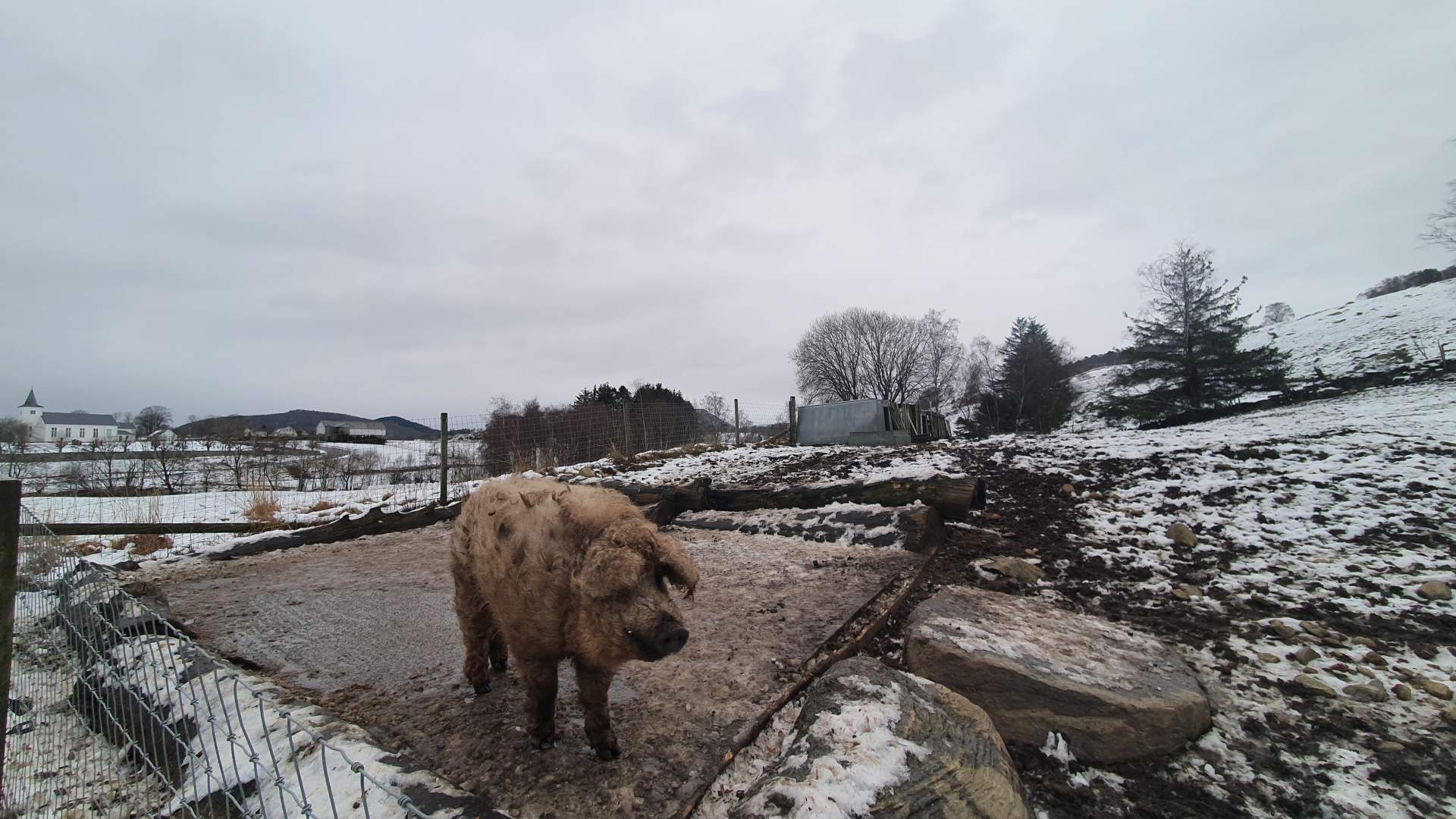 Gårdsutsalg hos Strand Gård på Tau