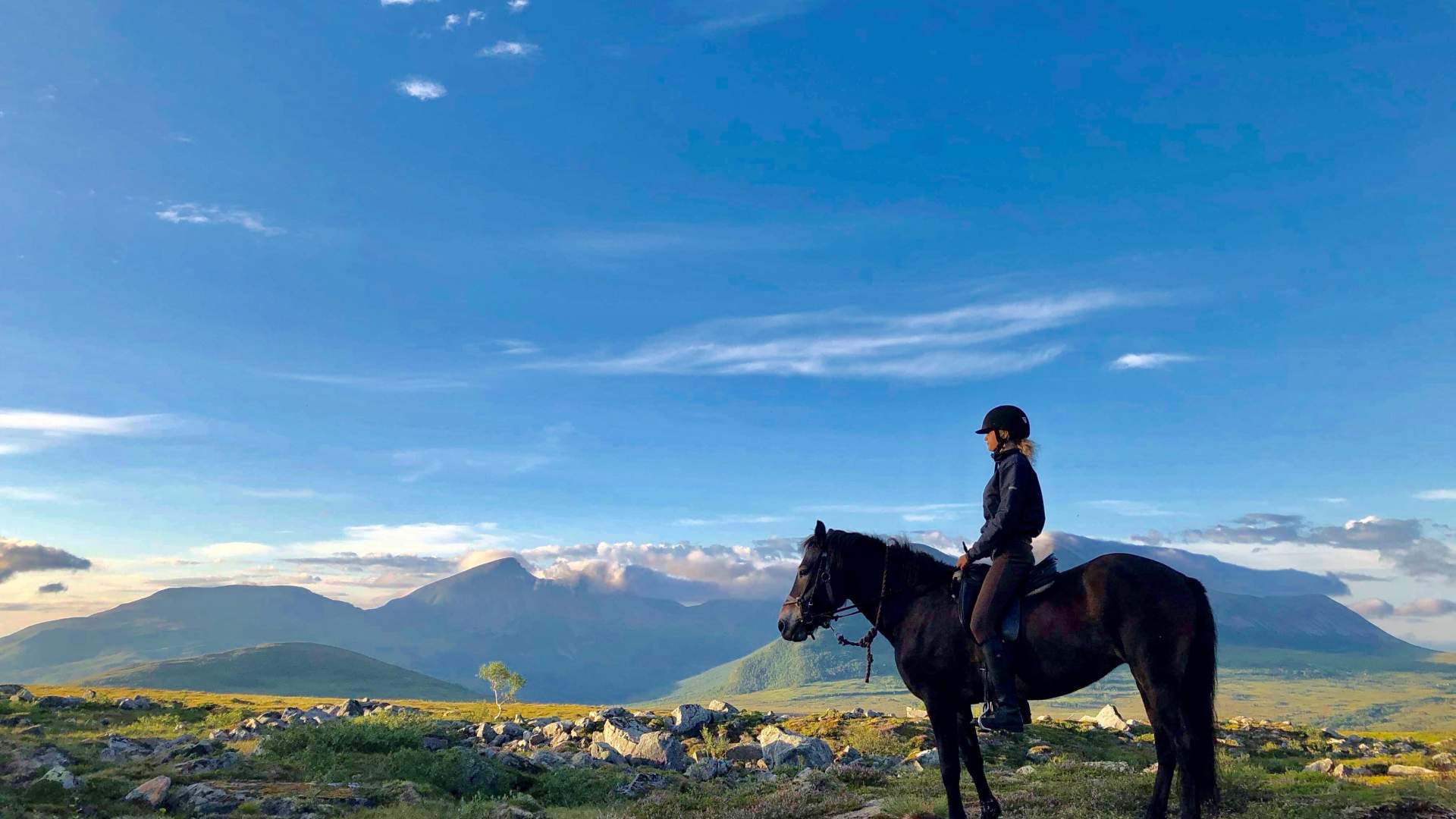 Ridetur med guide i fjellet