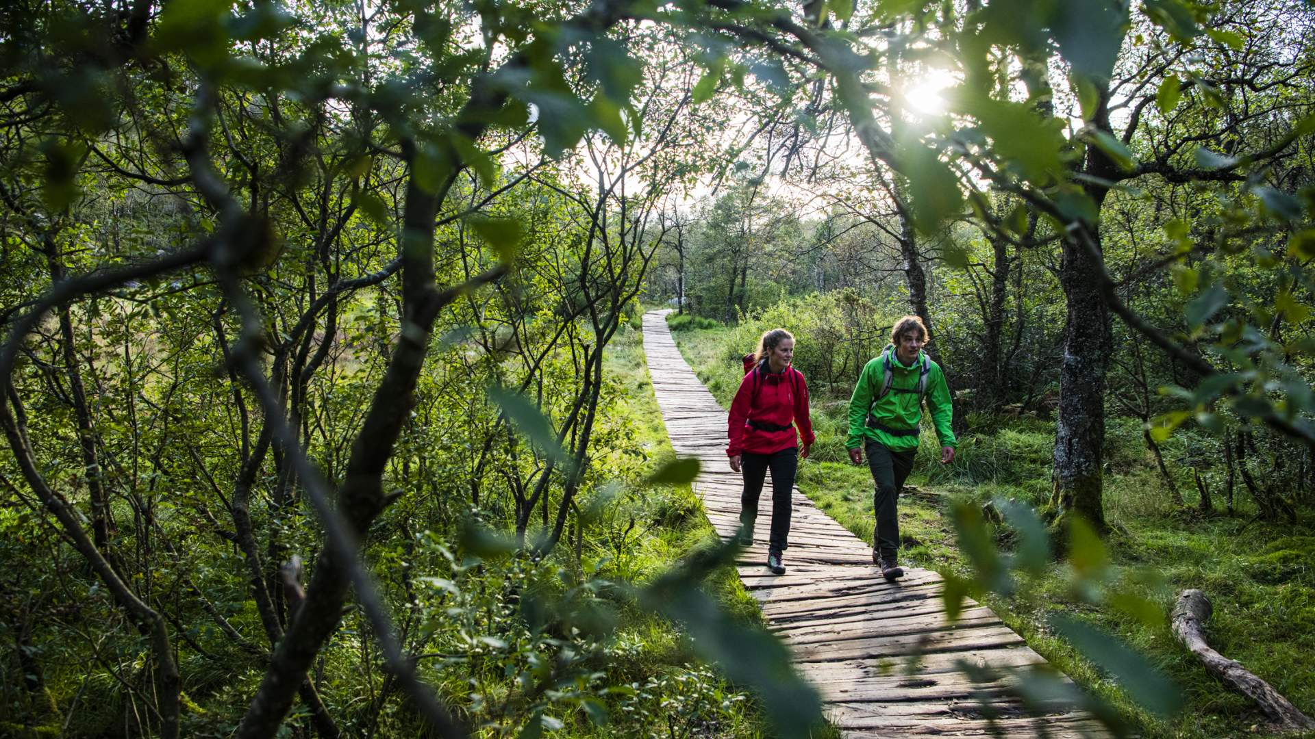 Wanderung zum Preikestolen im Lysefjord