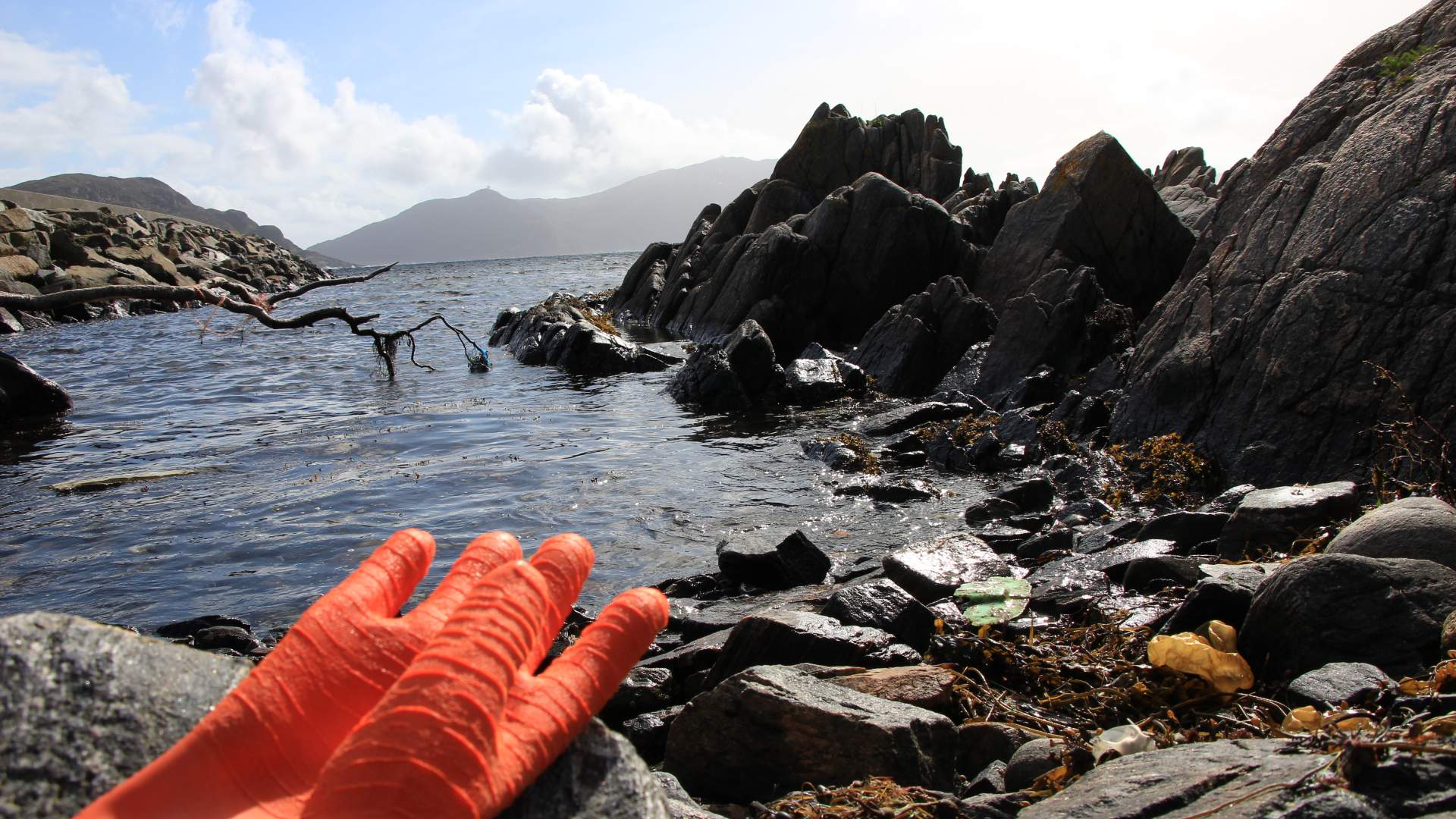 Gode hansker er lurt når man skal leite i fjørekanten.