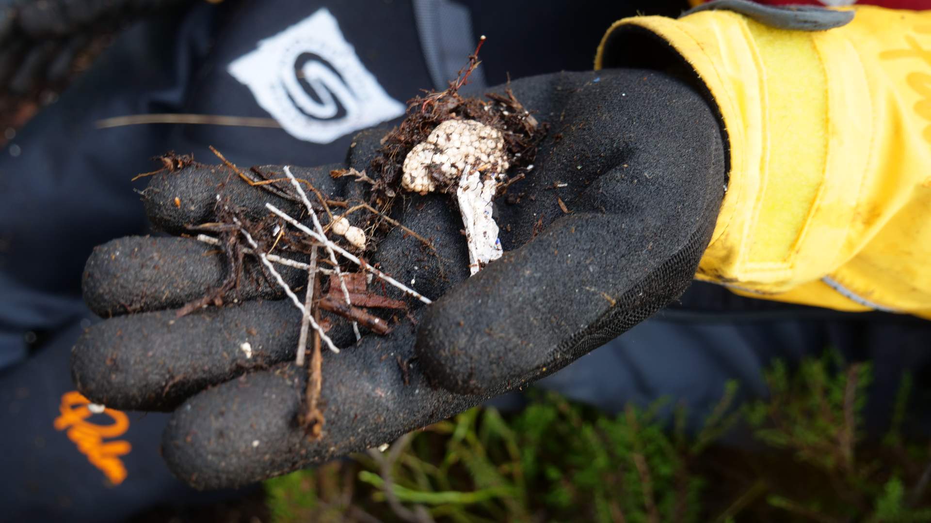 Ein finn mykje plast og rusk i fjøra.