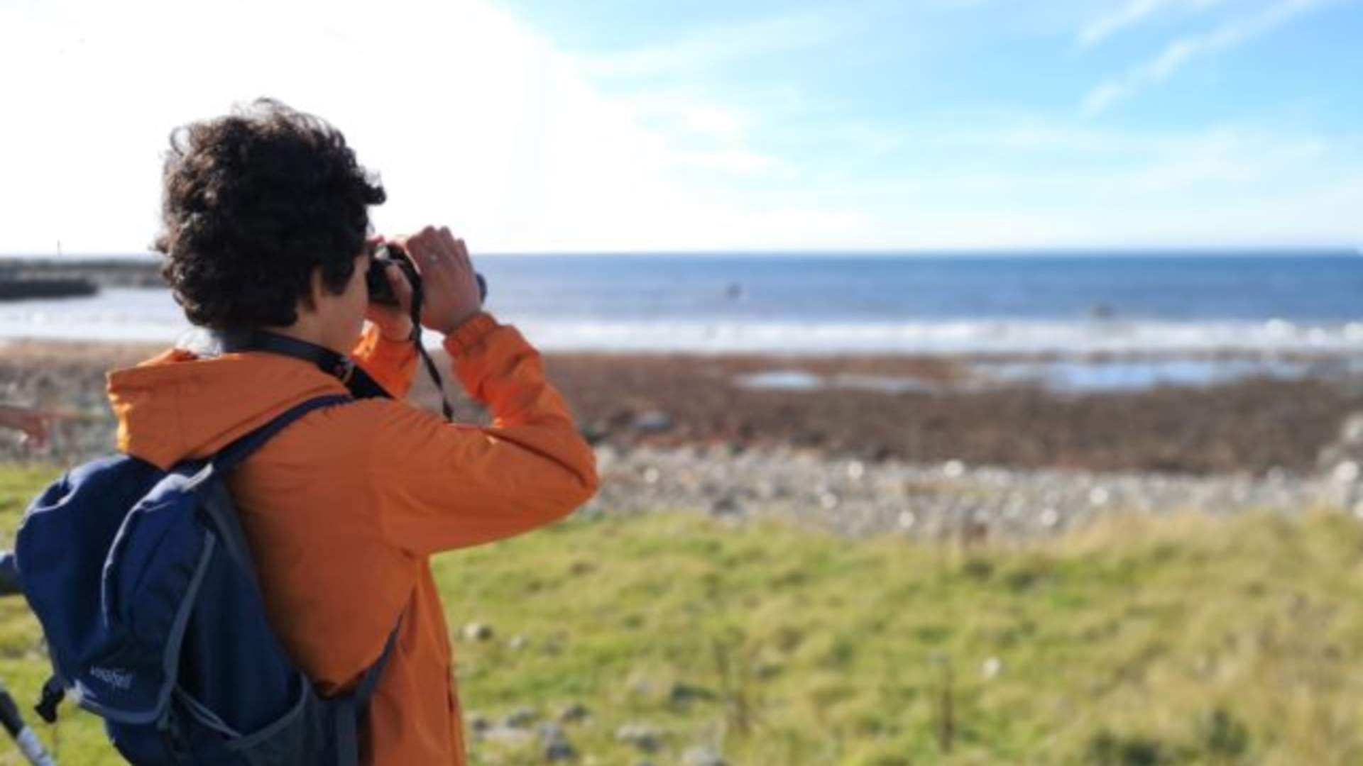 Bli med på fugletitting ved Kvassheim fyr