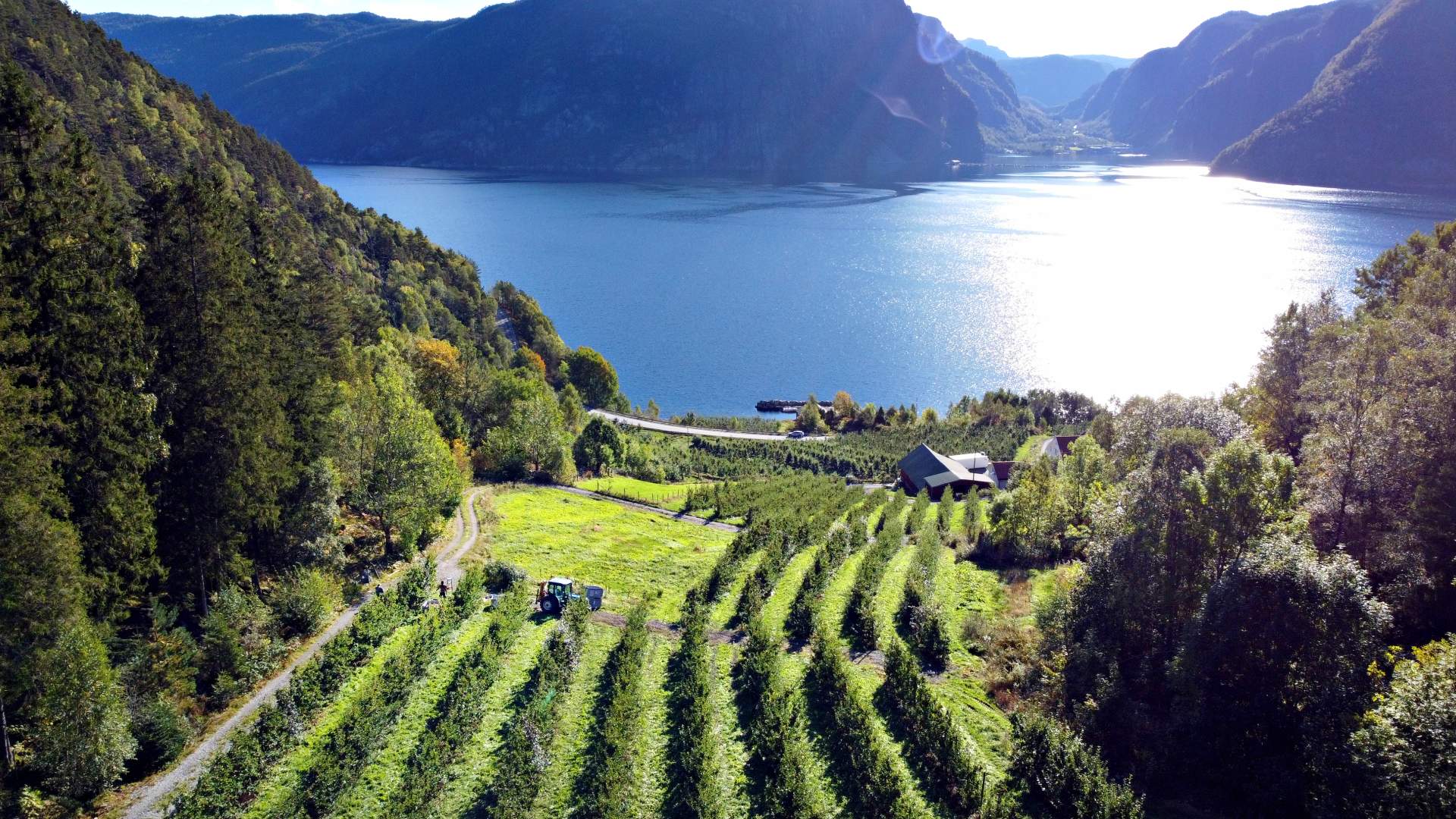 Sidersmaking og gardsutsalg hos Eiane Gard i Hjelmeland