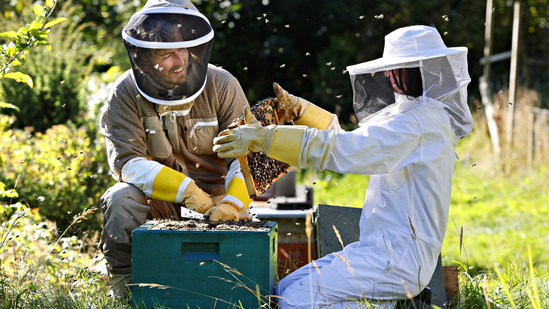 Sidersmaking og gardsutsalg hos Eiane Gard i Hjelmeland