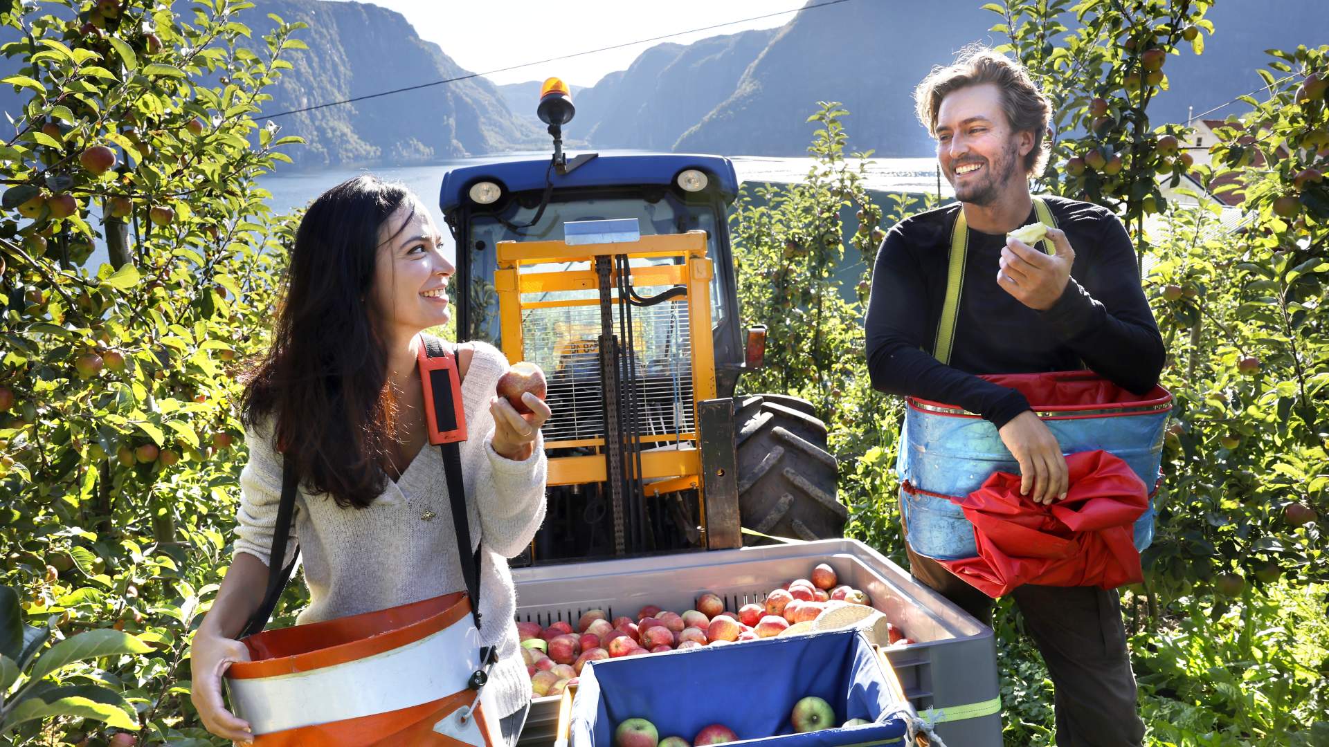 Sidersmaking og gardsutsalg hos Eiane Gard i Hjelmeland