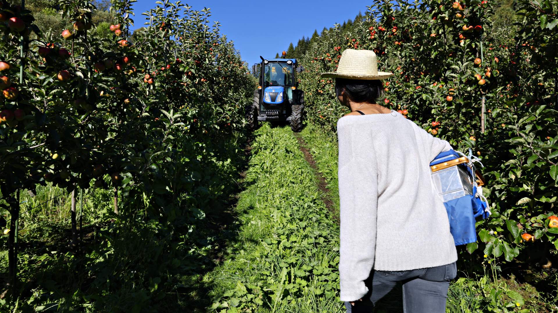 Sidersmaking og gardsutsalg hos Eiane Gard i Hjelmeland