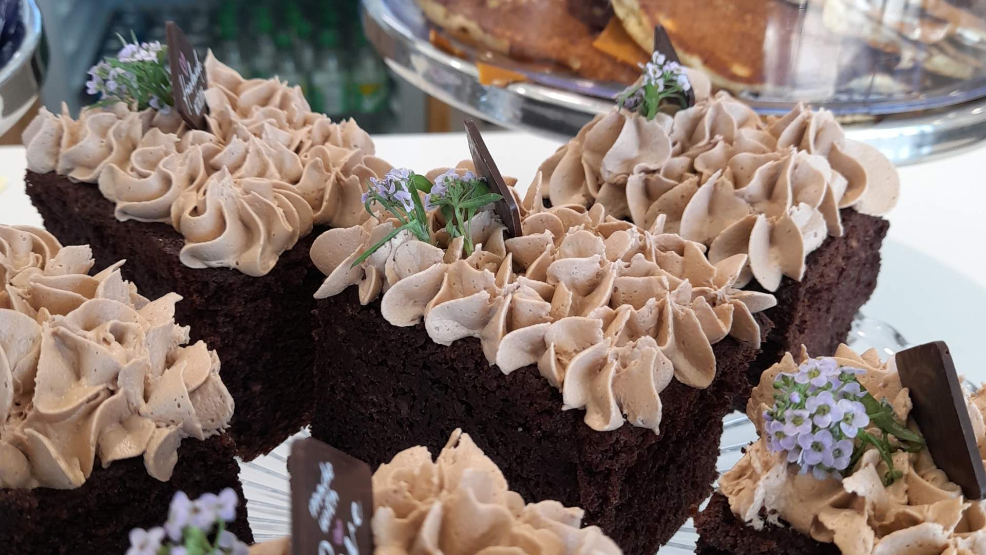 Fyrkaka hos Alnes fyr og opplevelsessenter