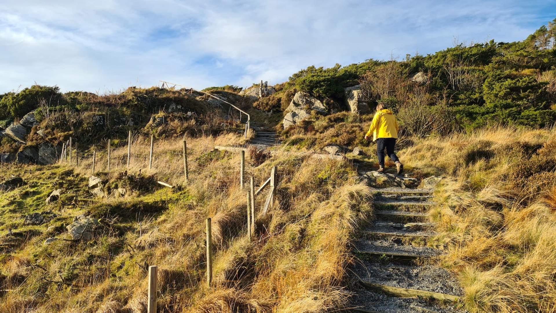 Busstur til Steinsfjellet og Kringsjå