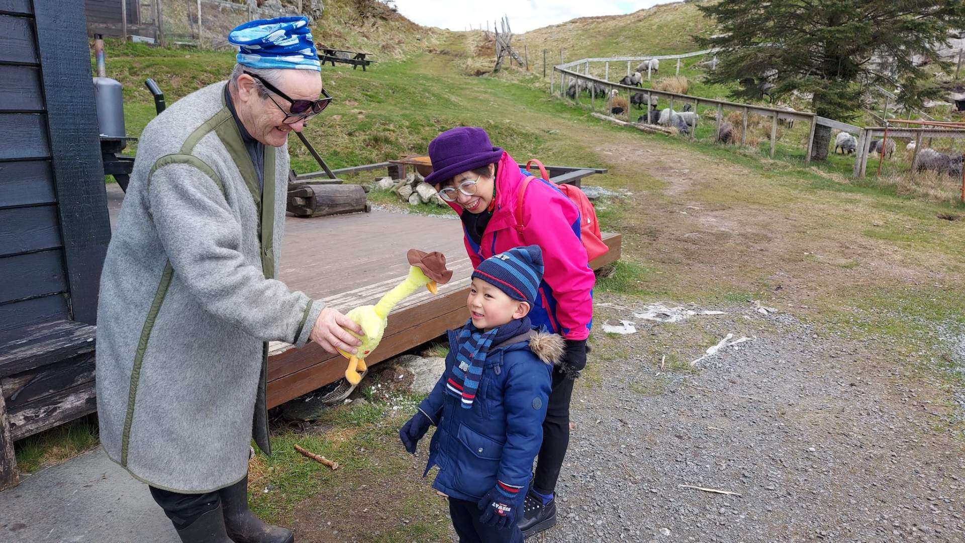 Busstur til Steinsfjellet og Kringsjå
