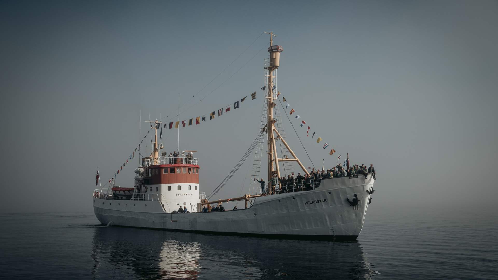 Fugl- og selsafari med Polarstar