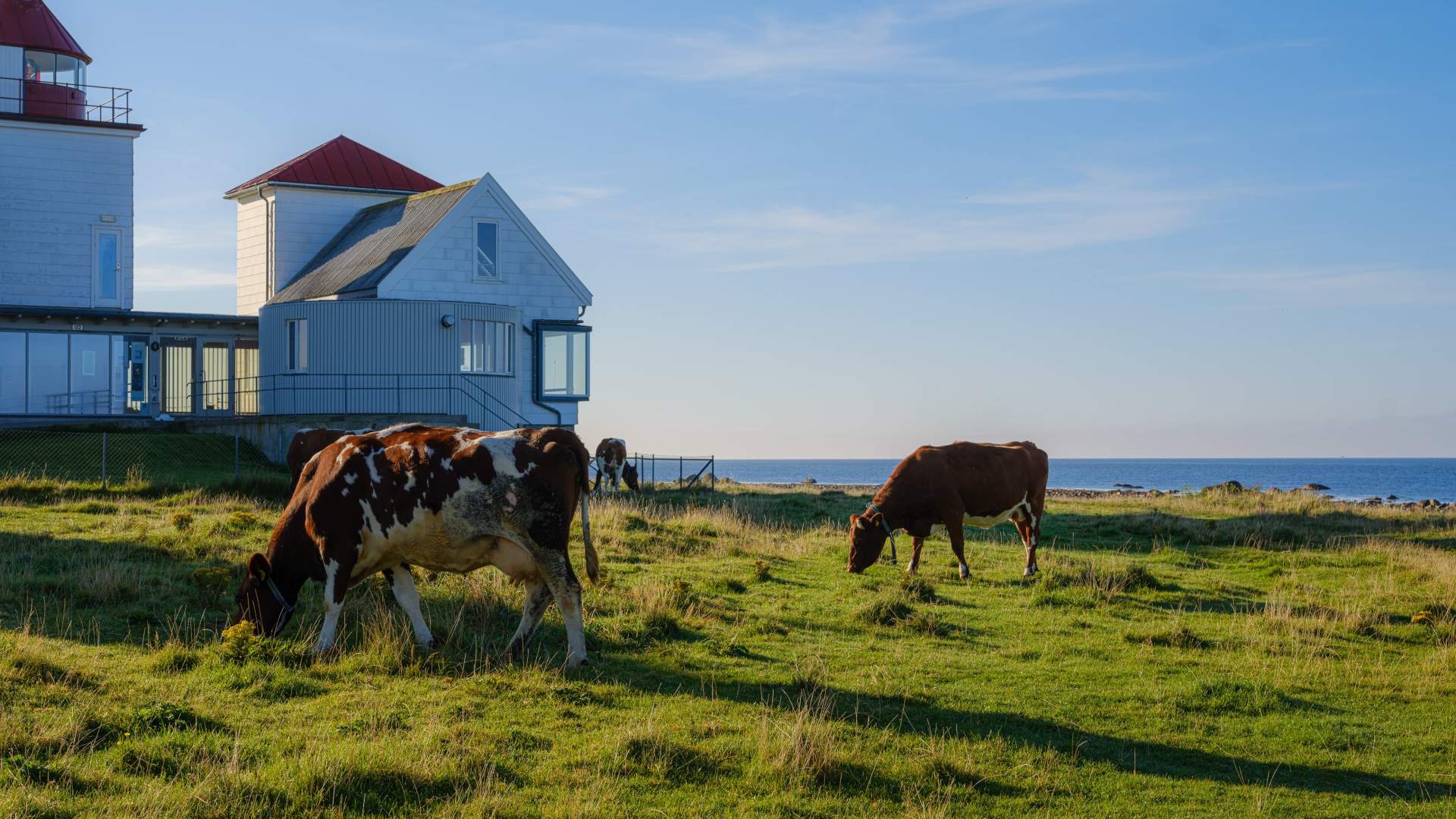 Friluftsfyret Kvassheim