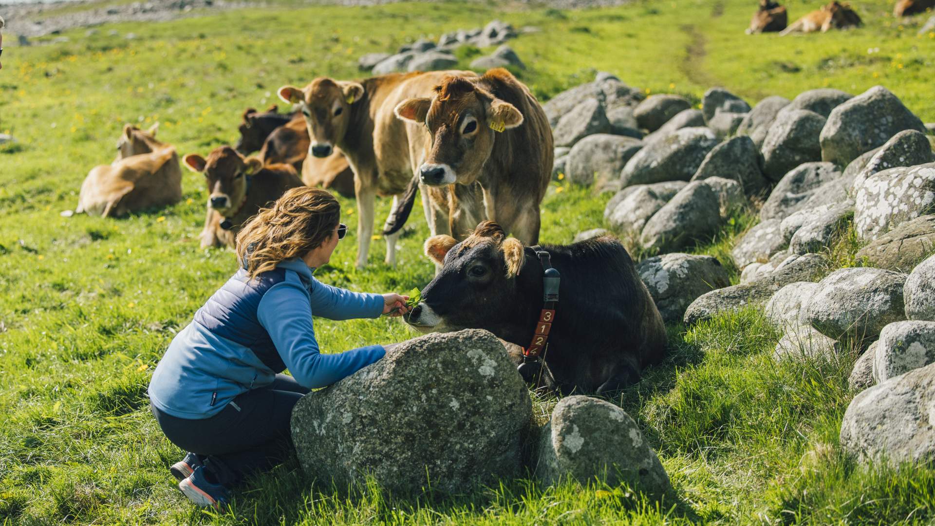 Kvassheim friluftsfyr
