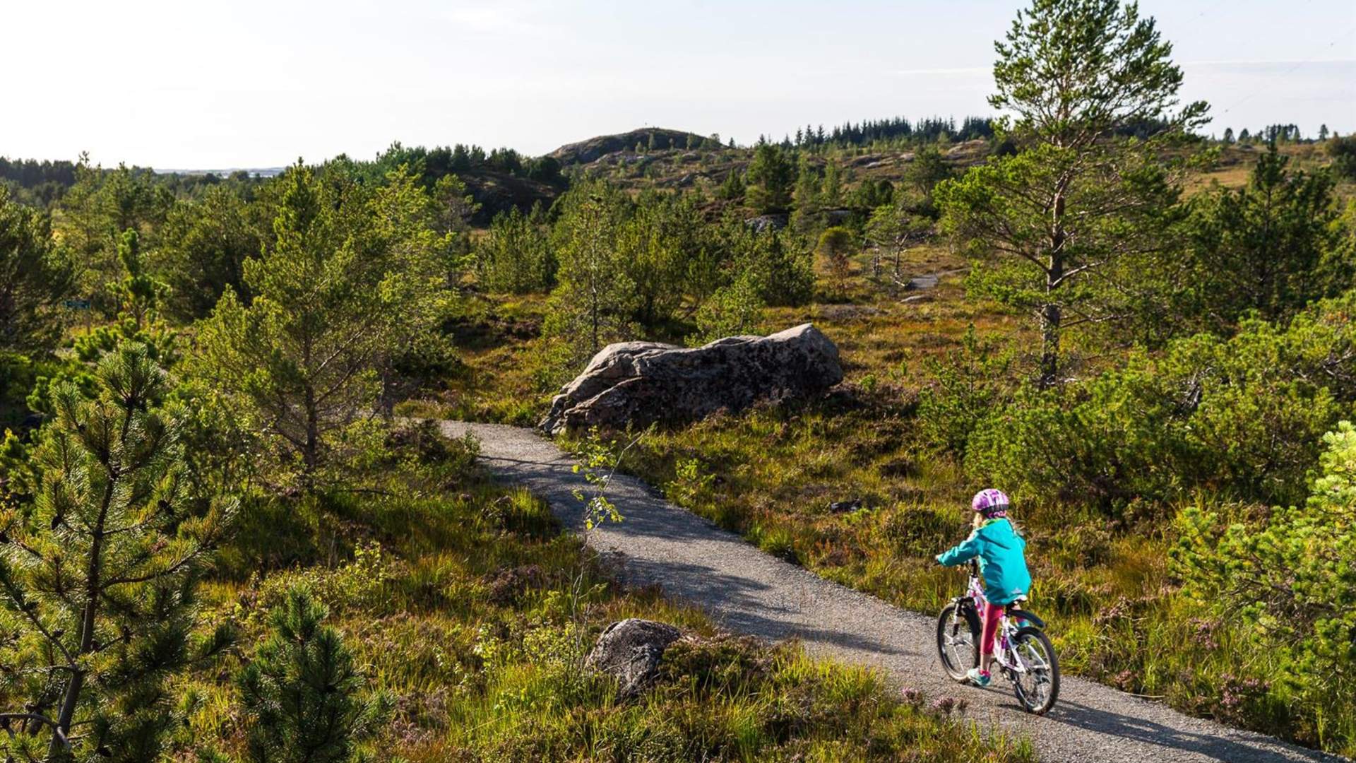 The family forest cycling route in Aukraskogen (4 km)