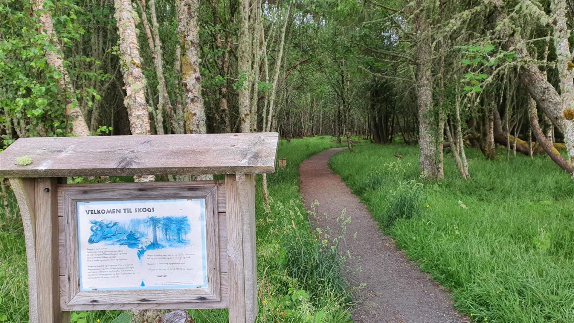 The family forest cycling route in Aukraskogen (4 km)