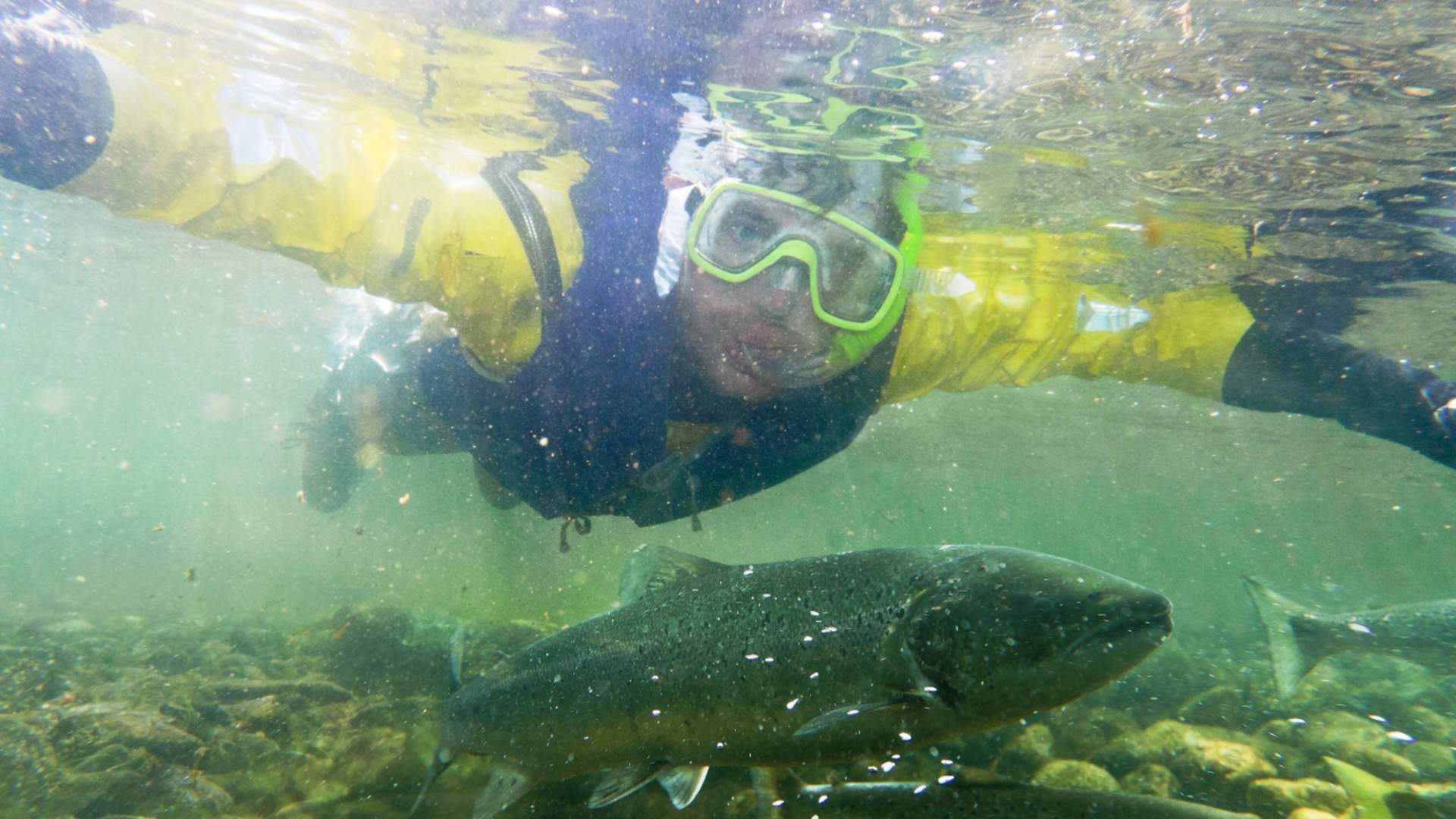 Mo Laksegard bei Suldalslågen auf Sand