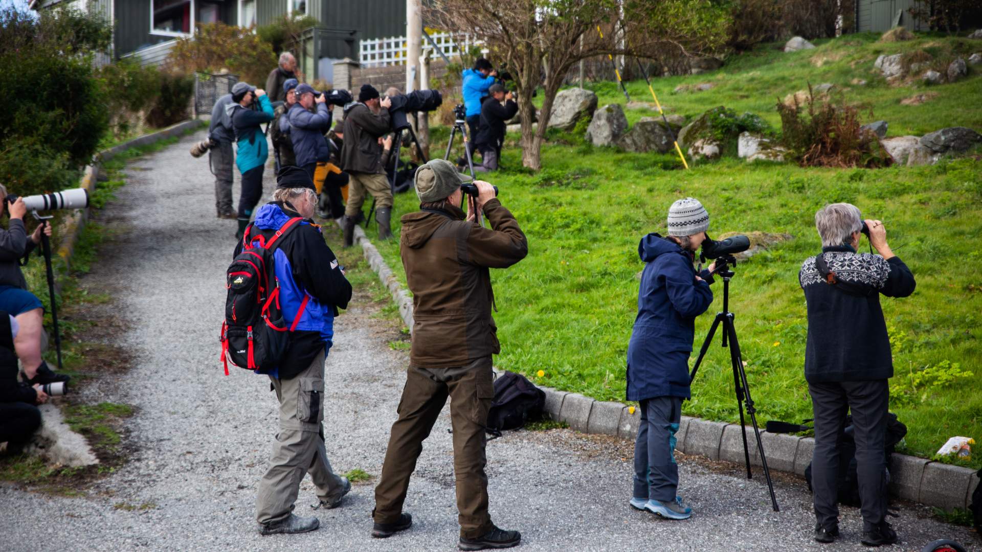 Fuglekikking på Utsira