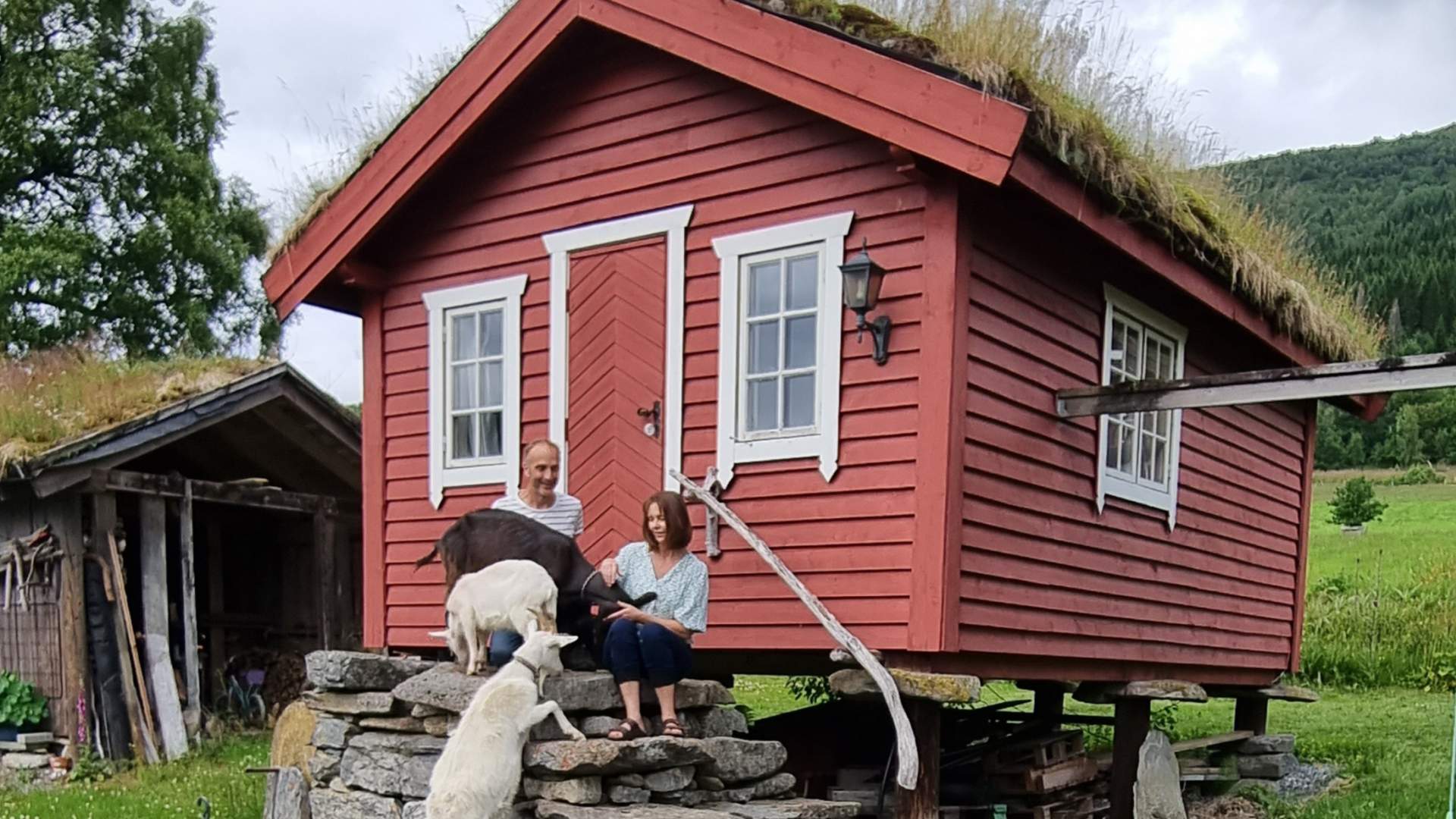 Bo tett på dyra på Brudevoll gard