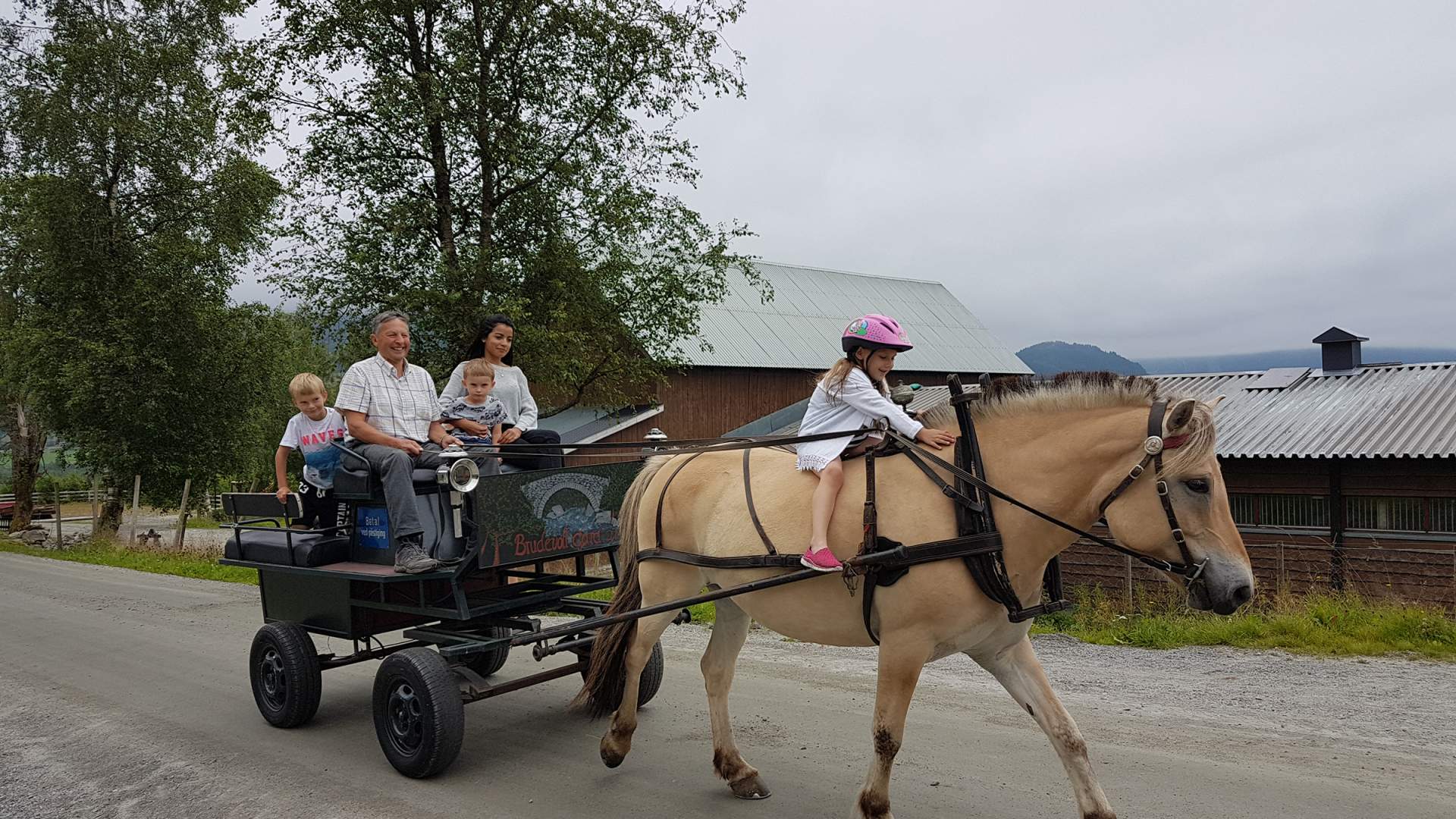 Bli med på hest- og kjerretur på Brudevoll Gard