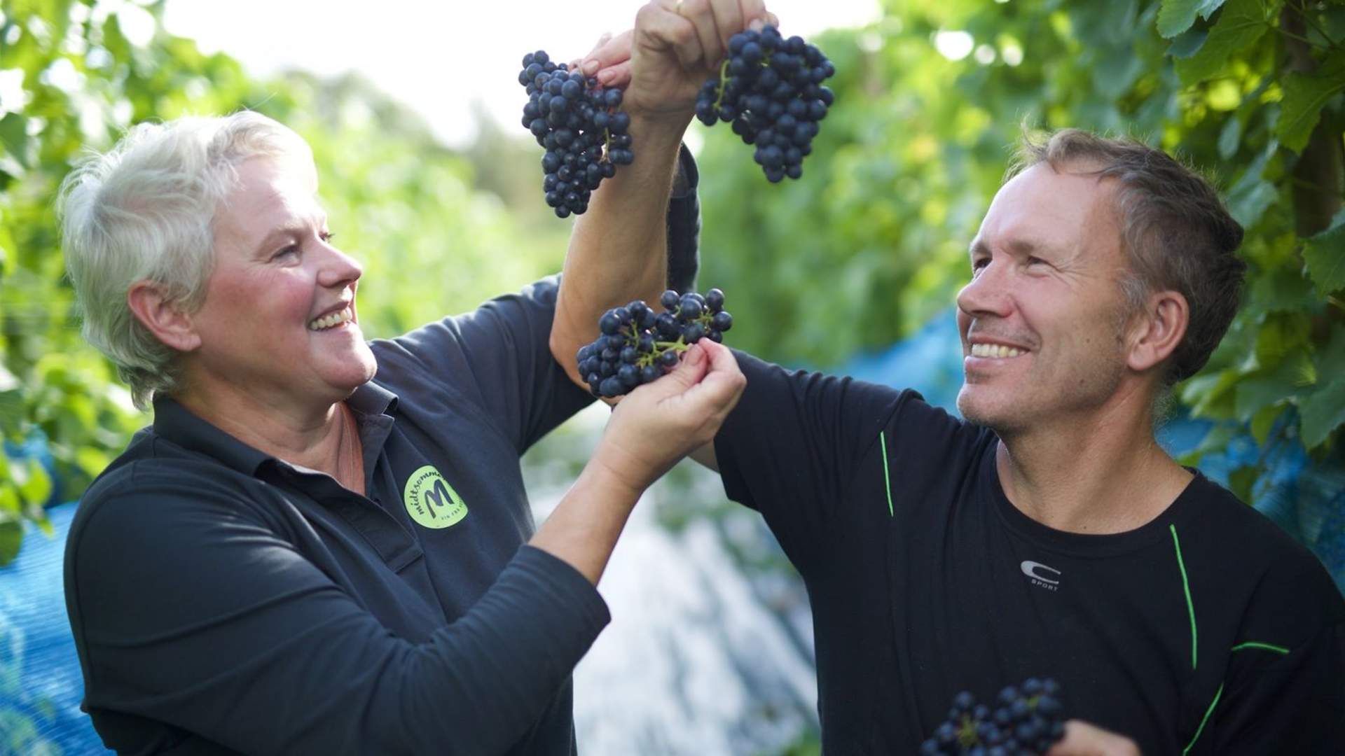 Day Trip to Charming Vineyard in Ryfylke