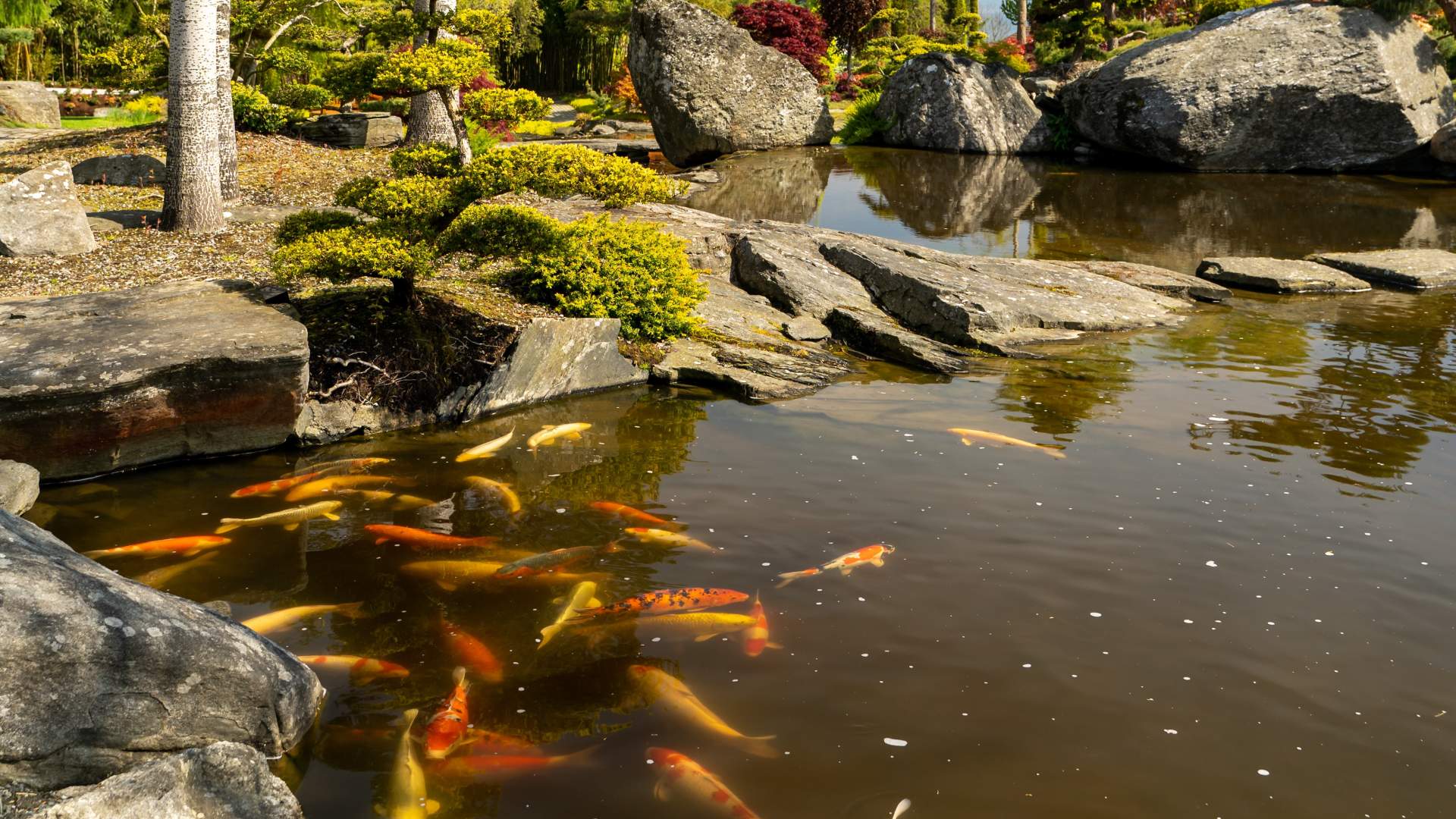 Flor & Fjære - the only island in Norway with palm trees