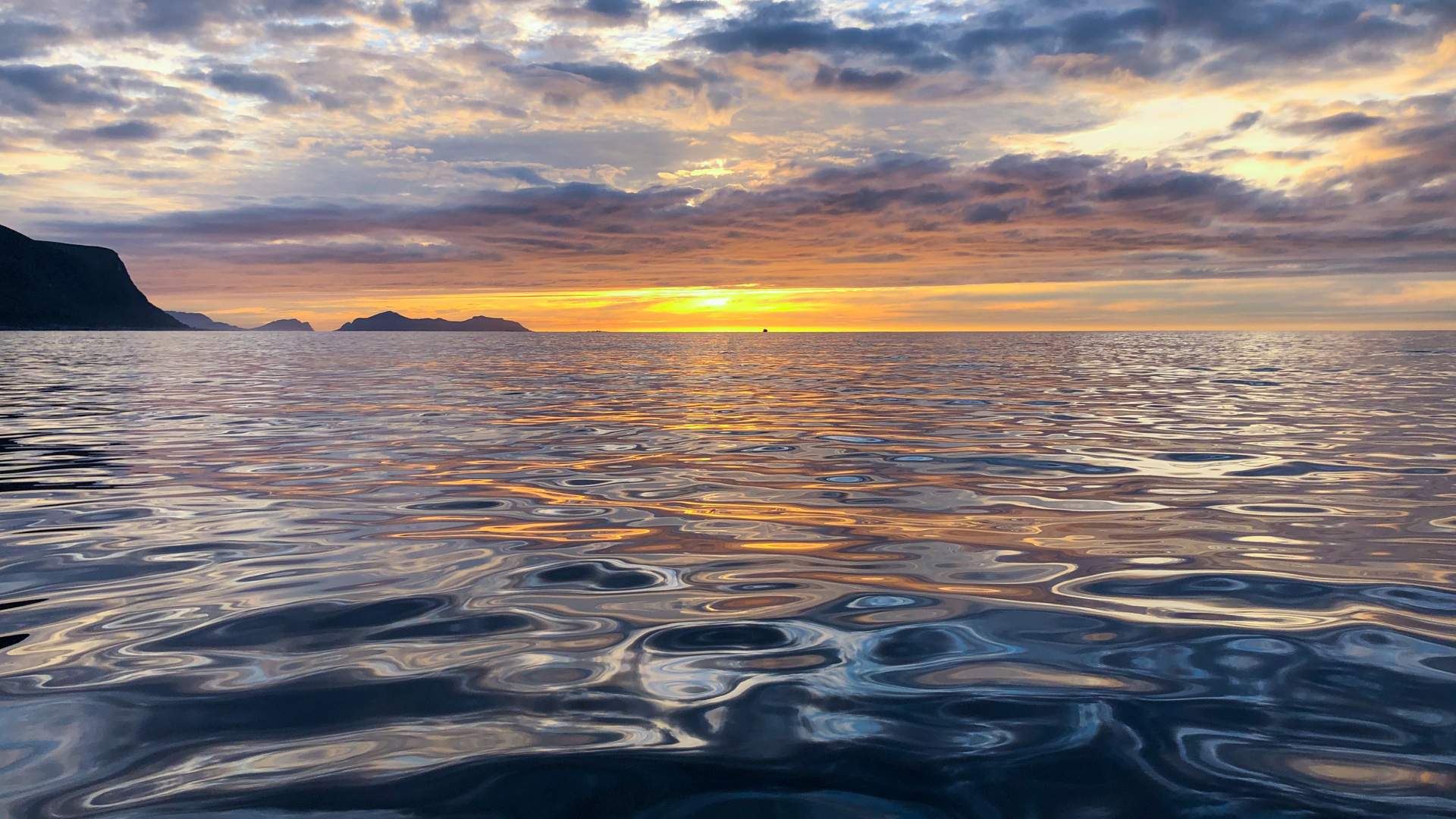Bli med Fjordwise på en uforglemmelig båttur