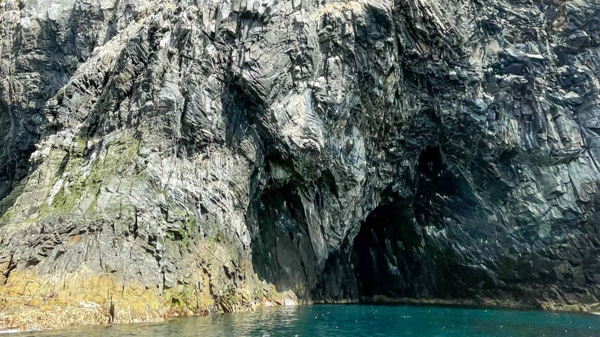 Private boat charter to Runde bird island