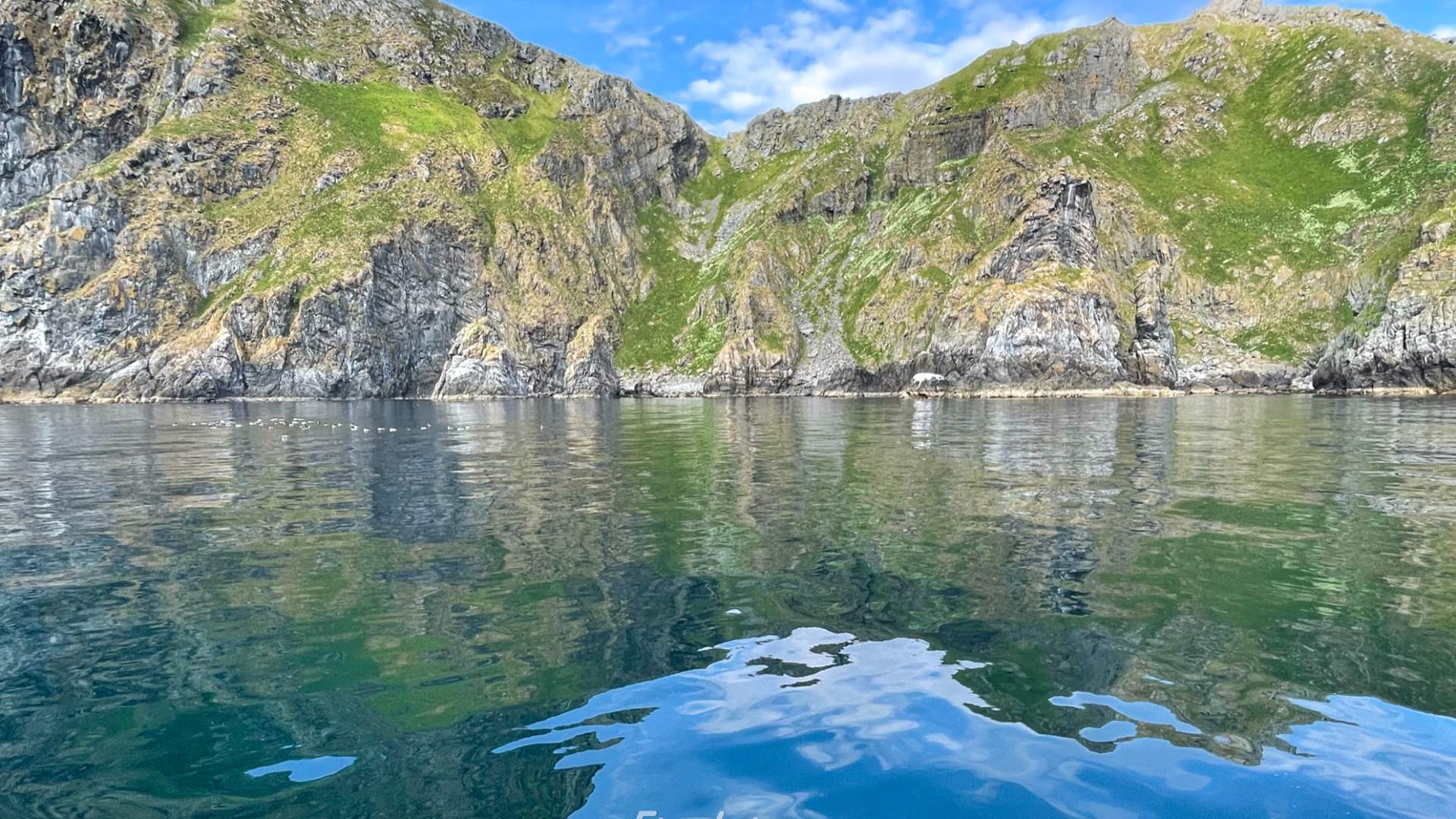 Private boat charter to Runde bird island