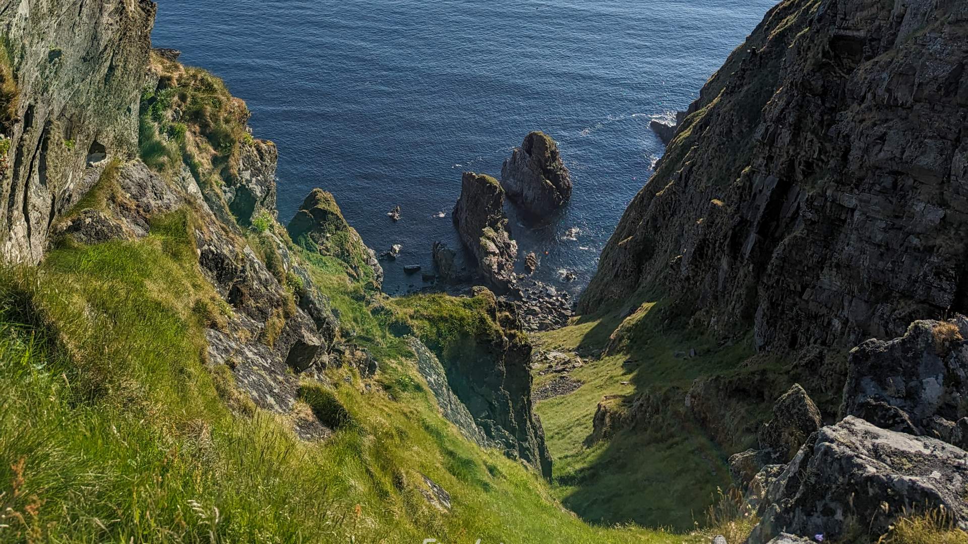 Private boat charter to Runde bird island