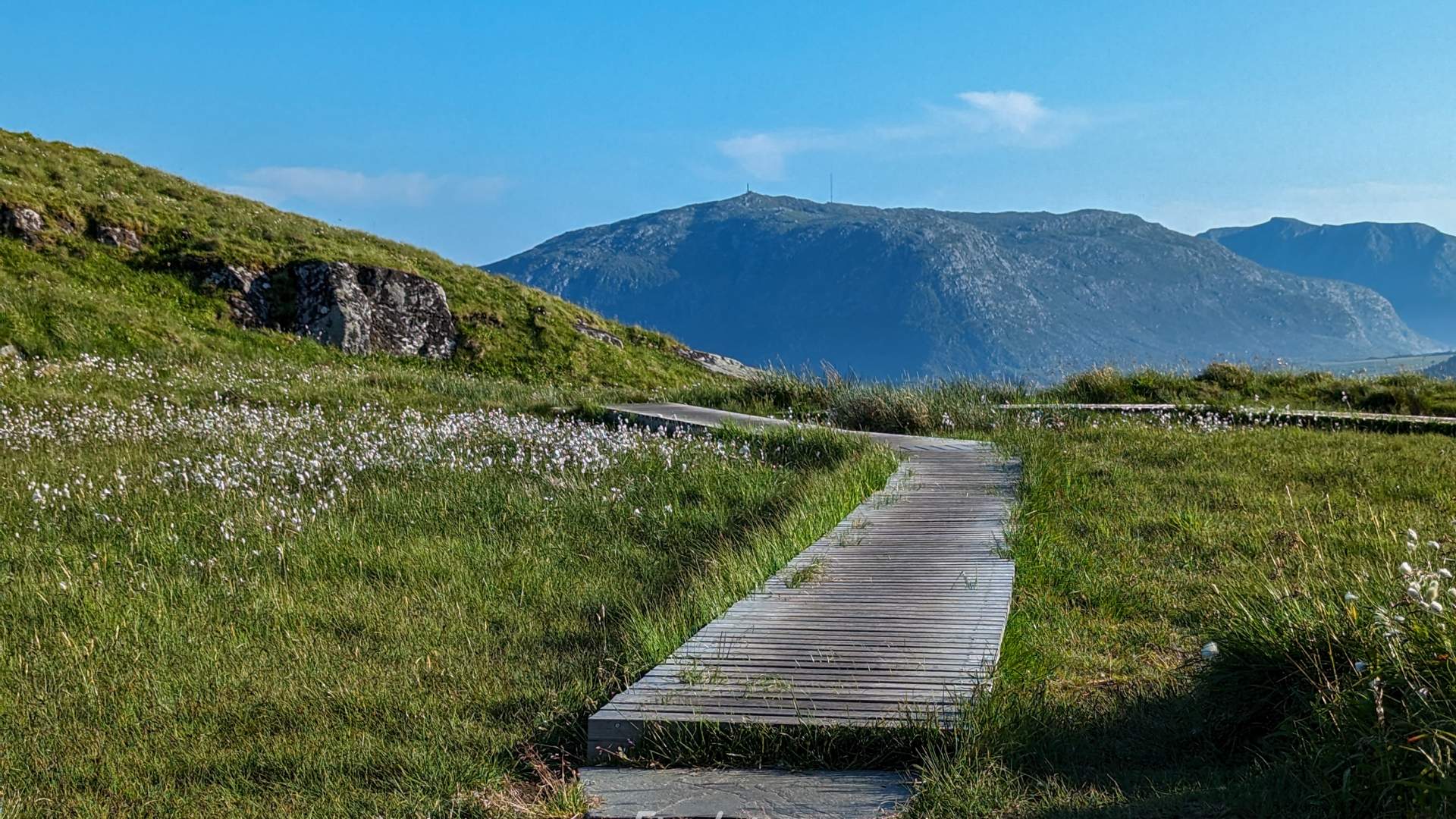 Private boat charter to Runde bird island