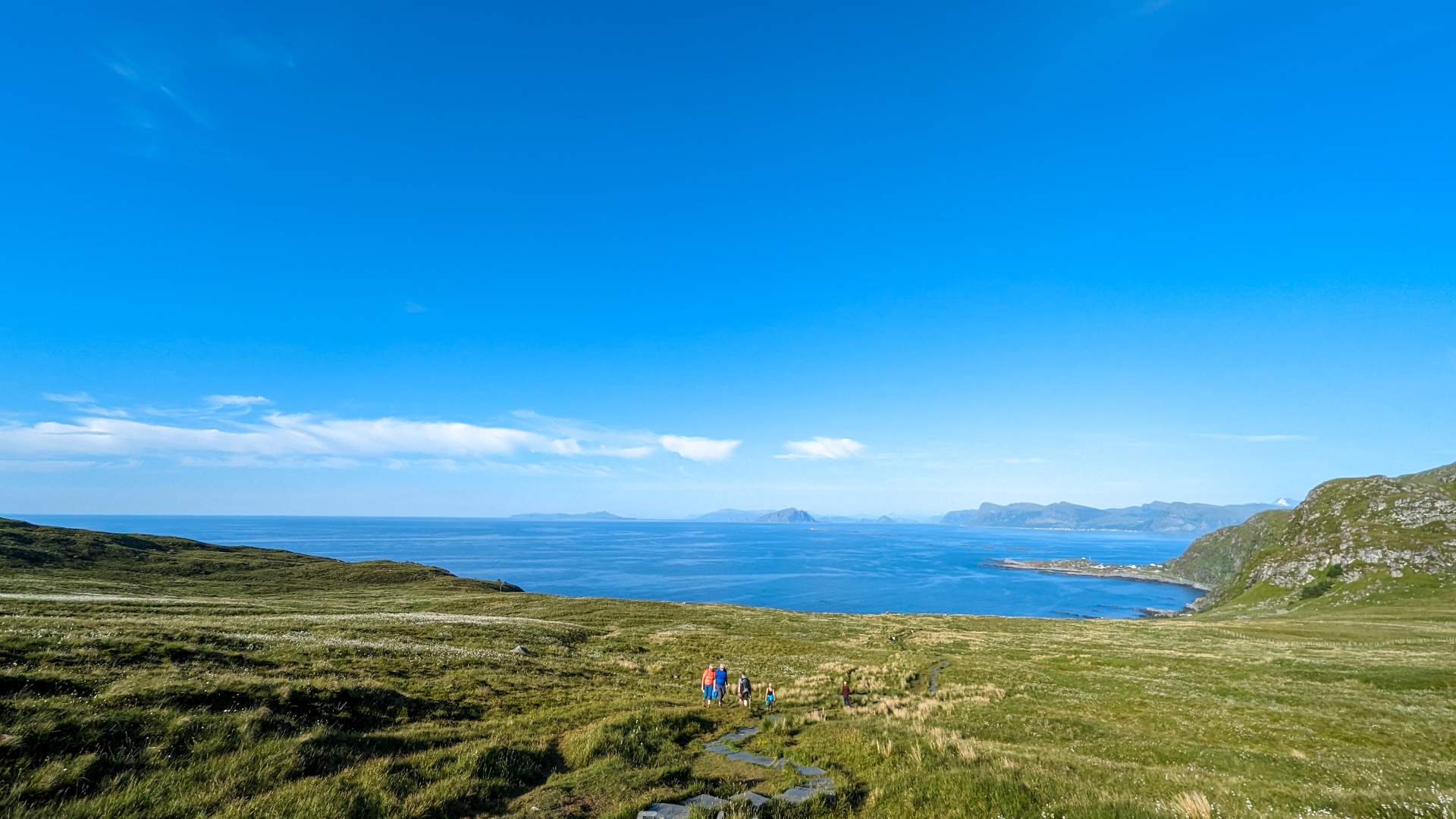 Private boat charter to Runde bird island