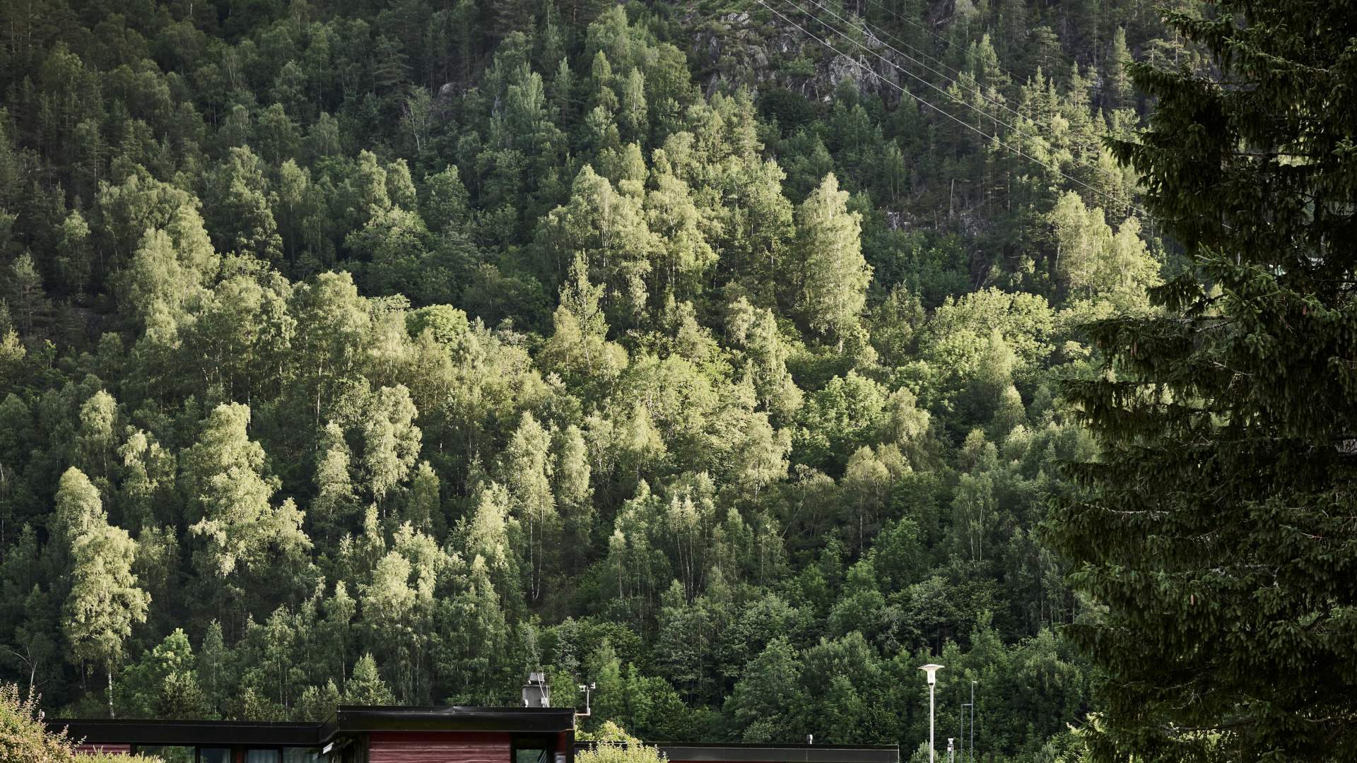 Kraftarkitektur på Nesflaten