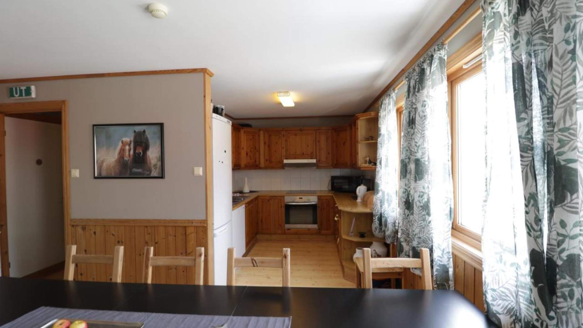 Stay at Fossanmoen Icelandic horse centre, close to the Lysefjord