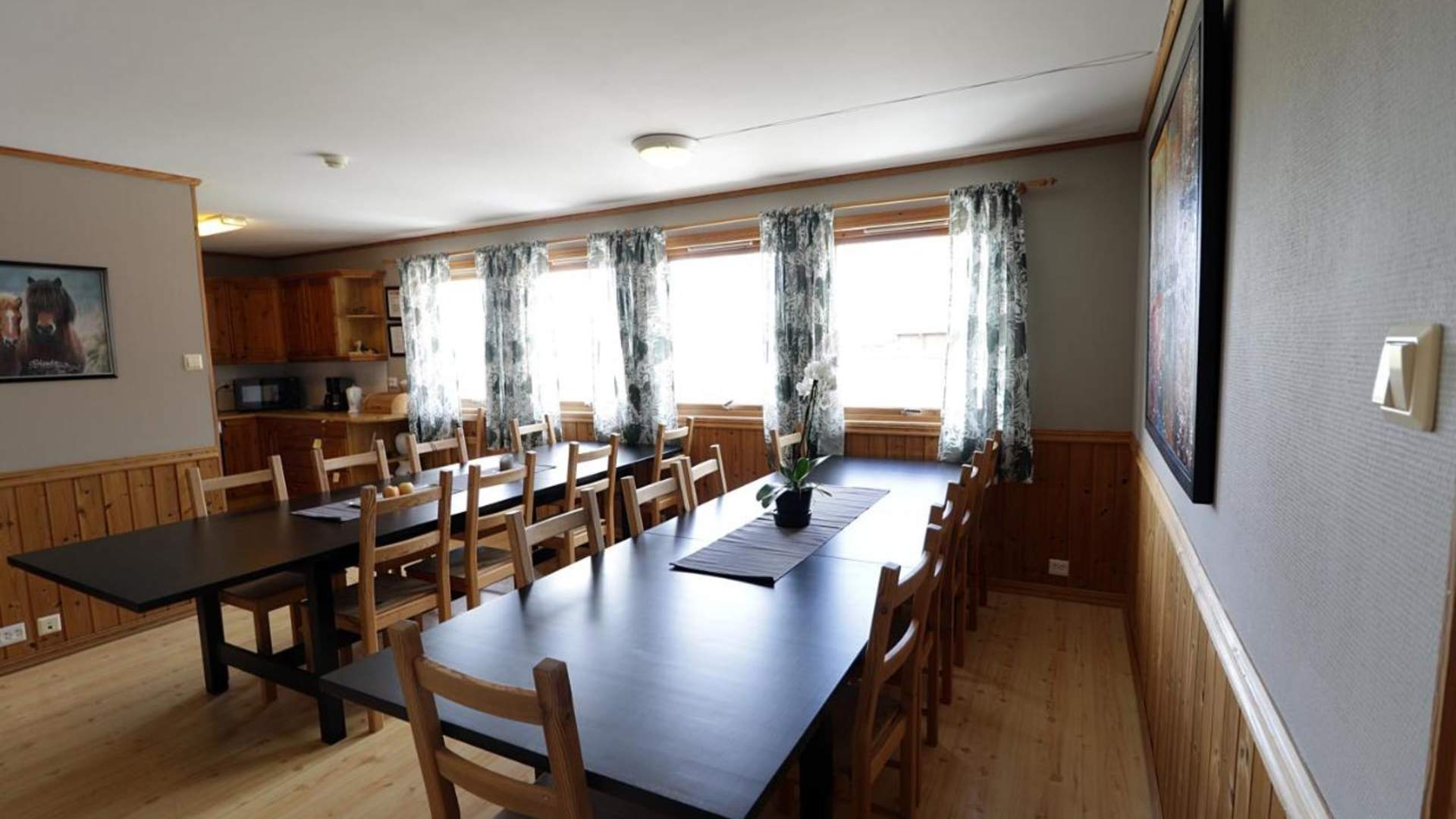 Stay at Fossanmoen Icelandic horse centre, close to the Lysefjord